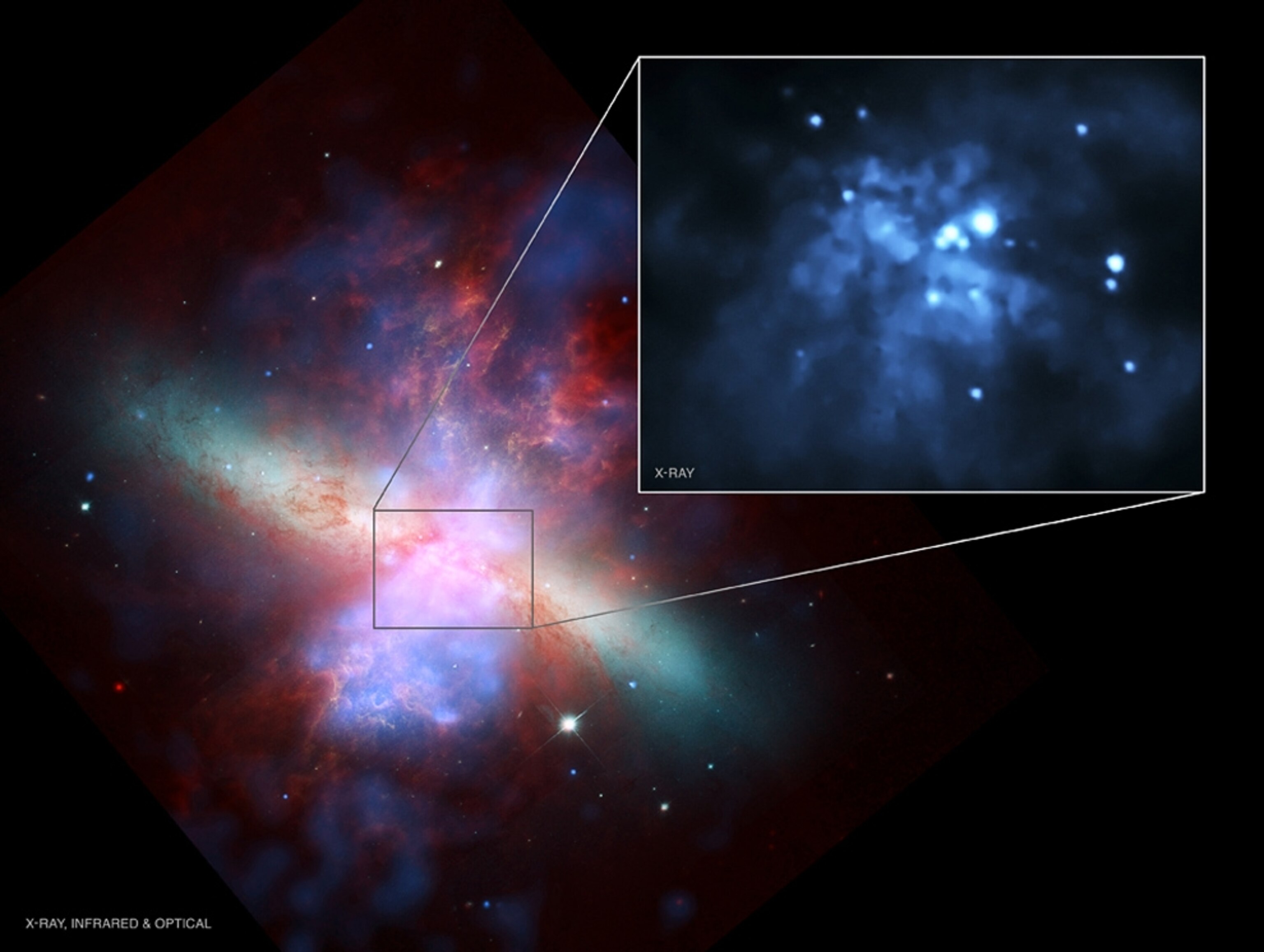 A new picture of starburst galaxy M82 shows two bright x-ray sources that might be midsize black holes.