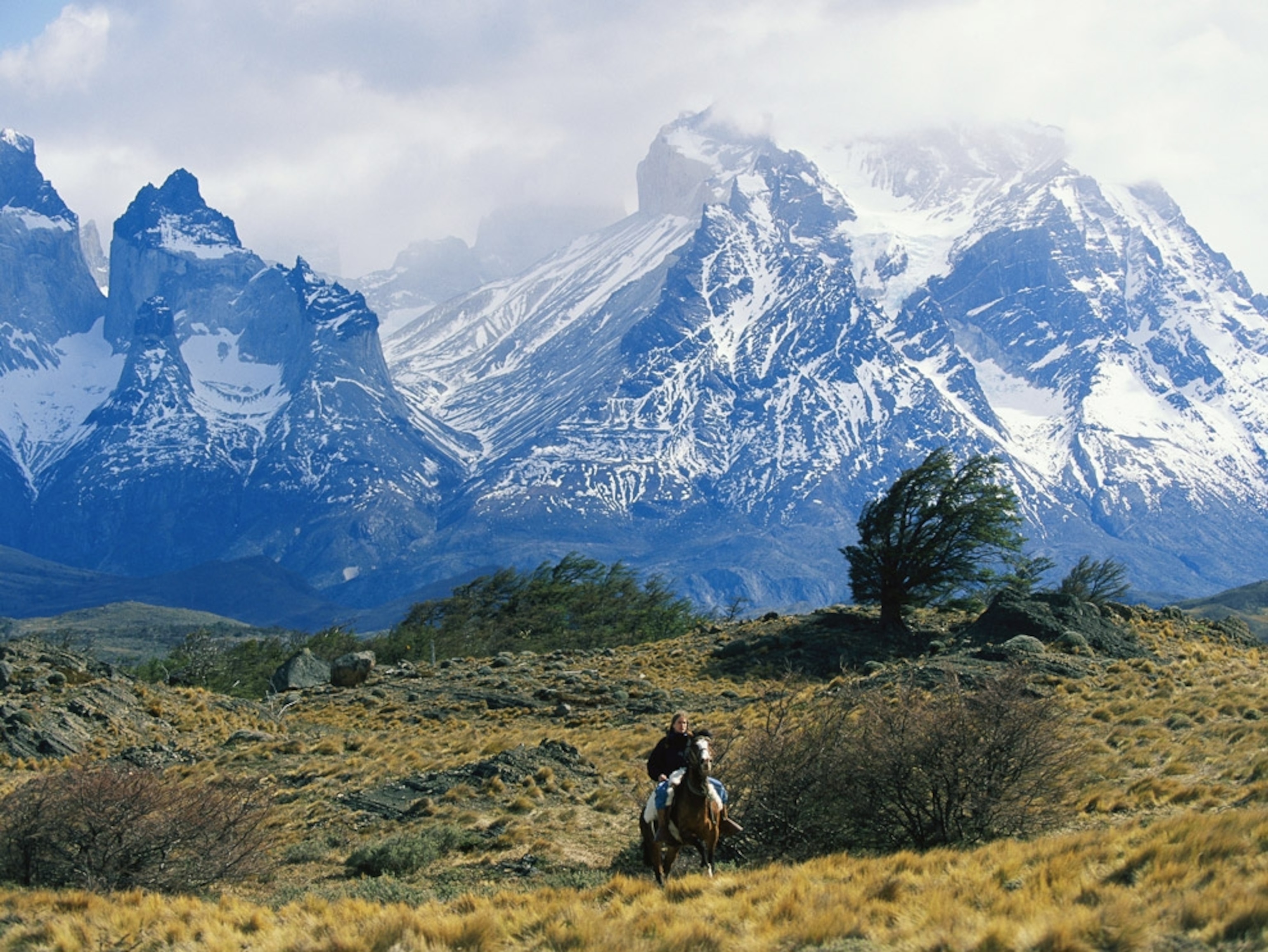 Horse rider in valley