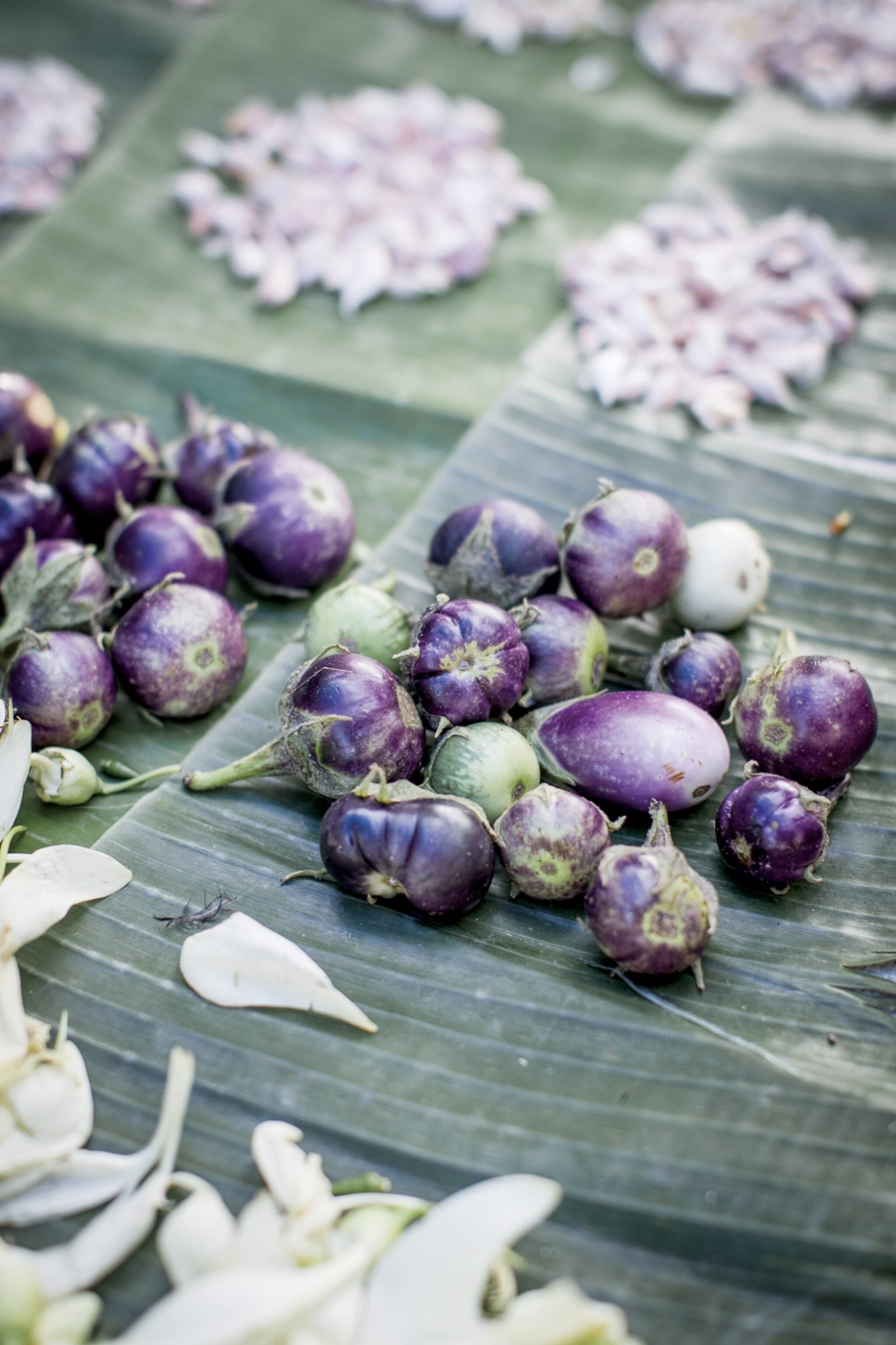 Discover why Laos is the world’s next great foodie destination