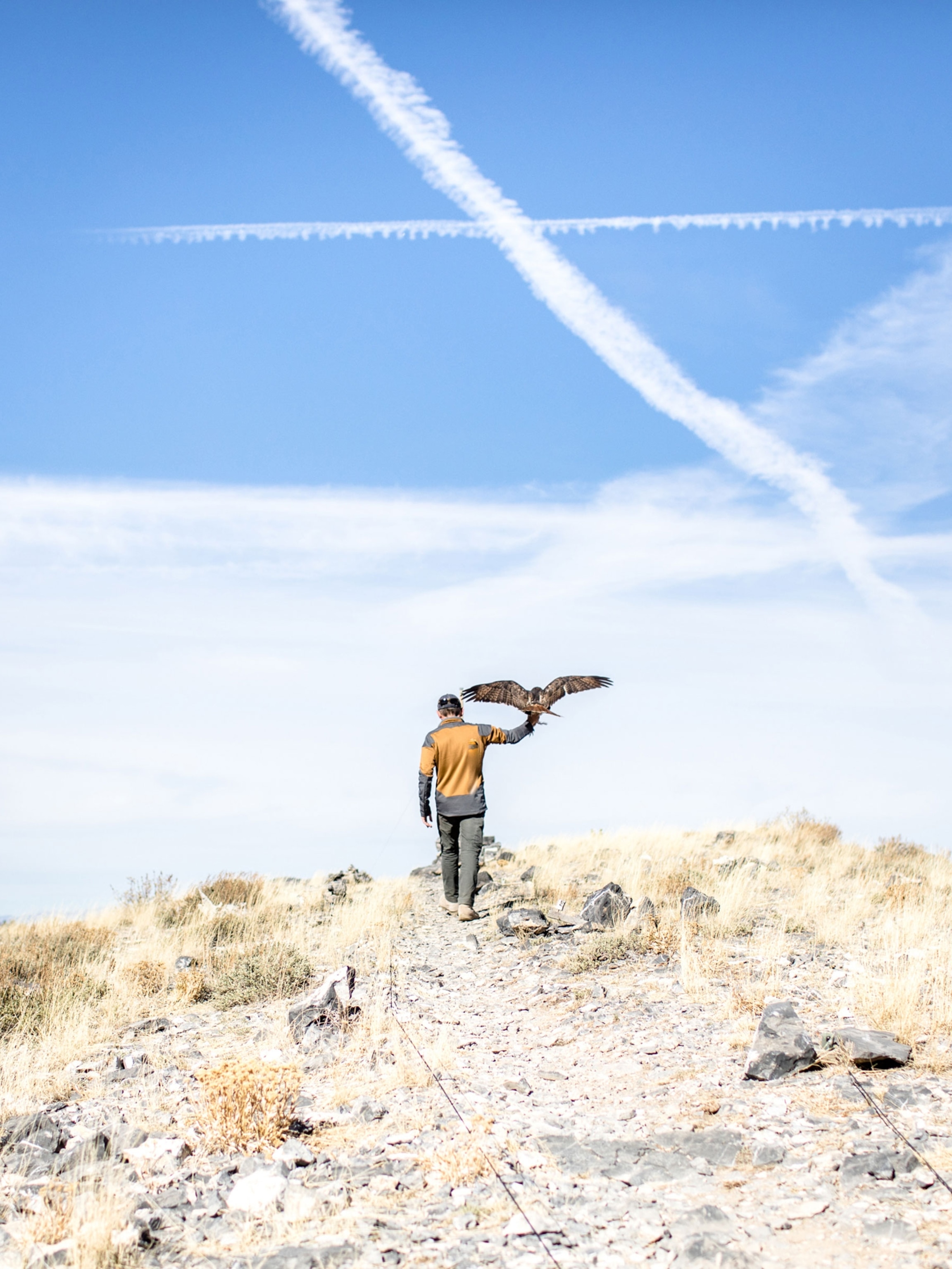 Midwest Rapters Raptor Road Trip: Tracking Birds of Prey Across the American West