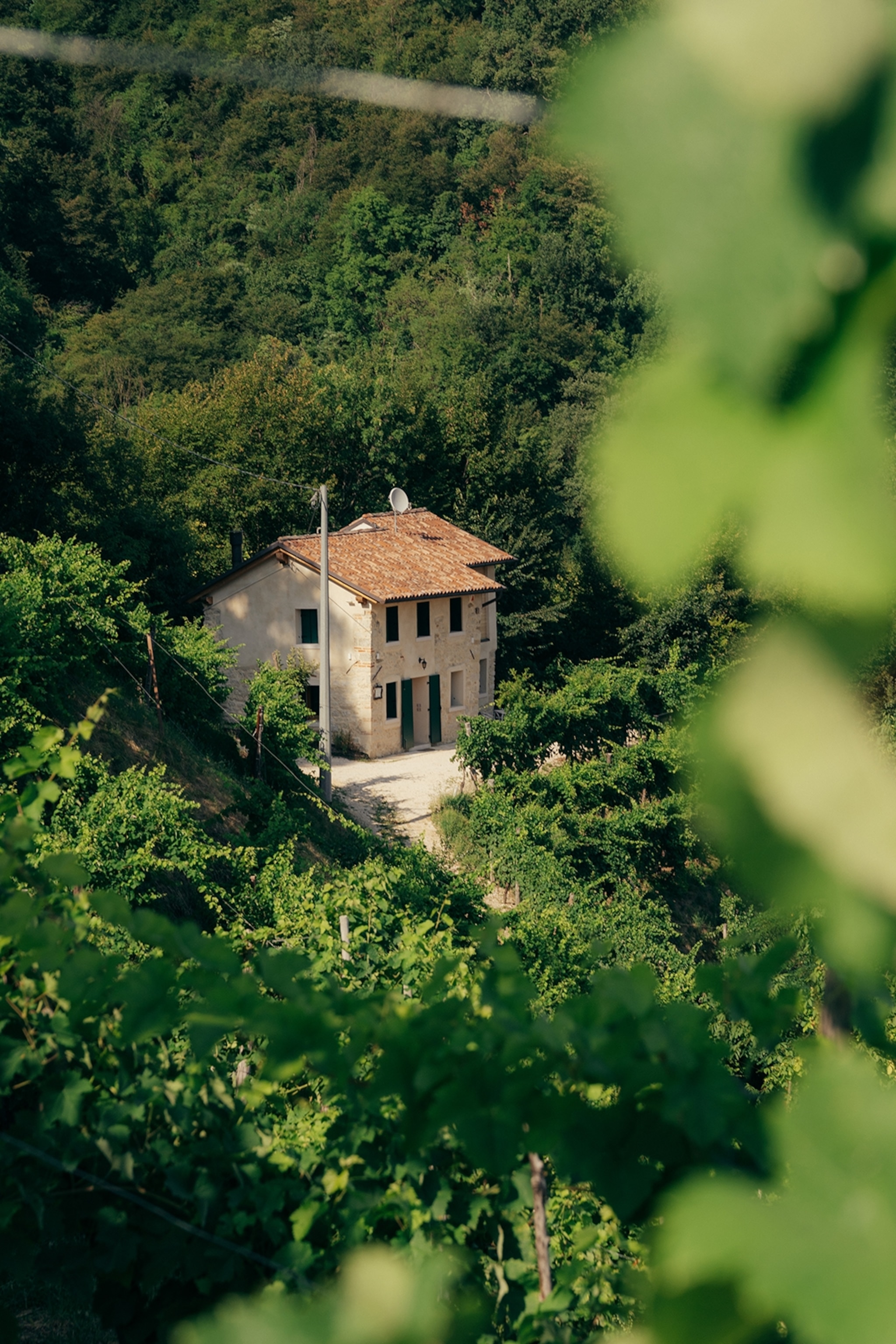 A stone mansion hidden in the thick greenery of a hillside landscape.
