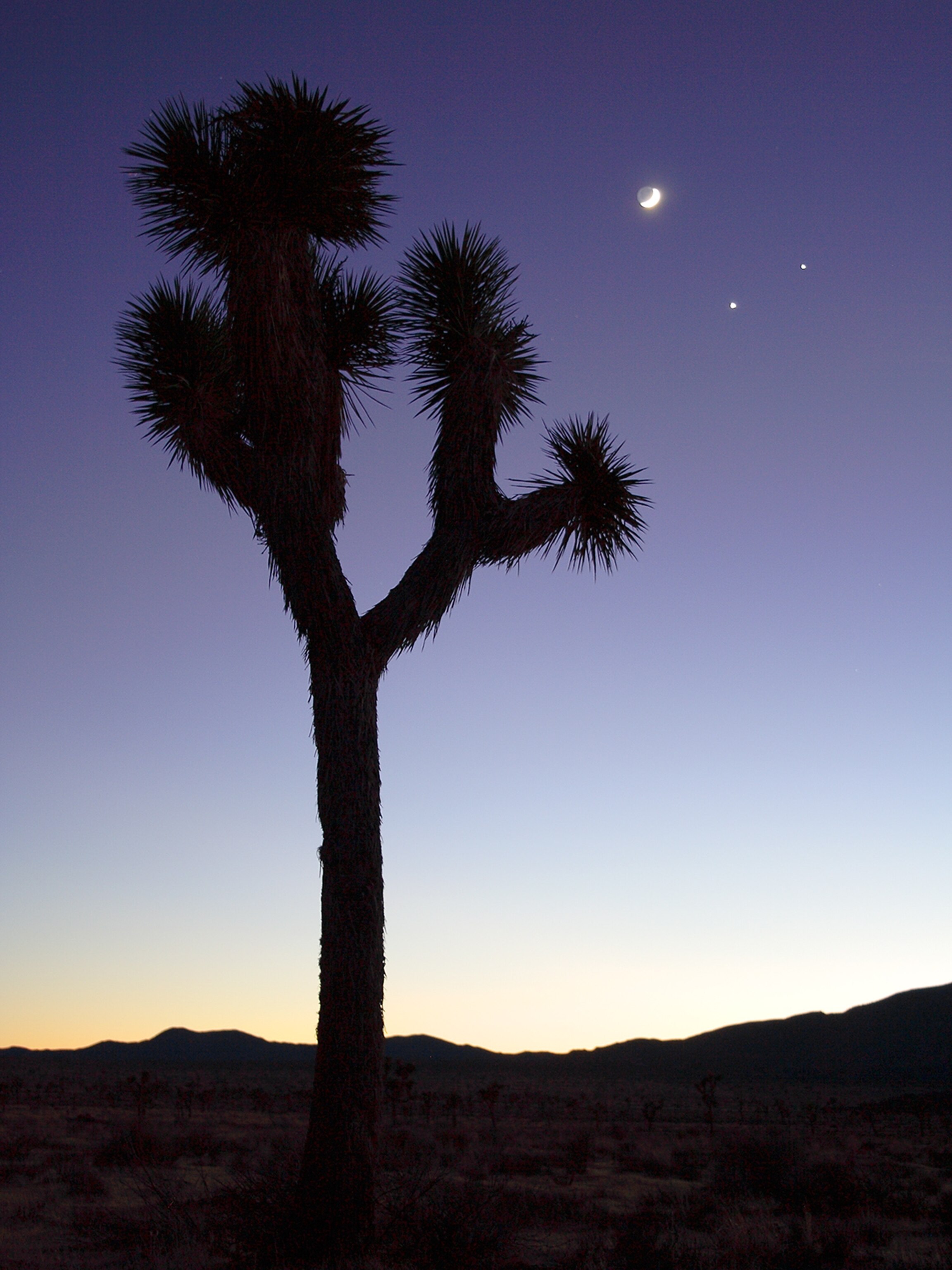 A conjunction of Venus, Jupiter, and the moon.