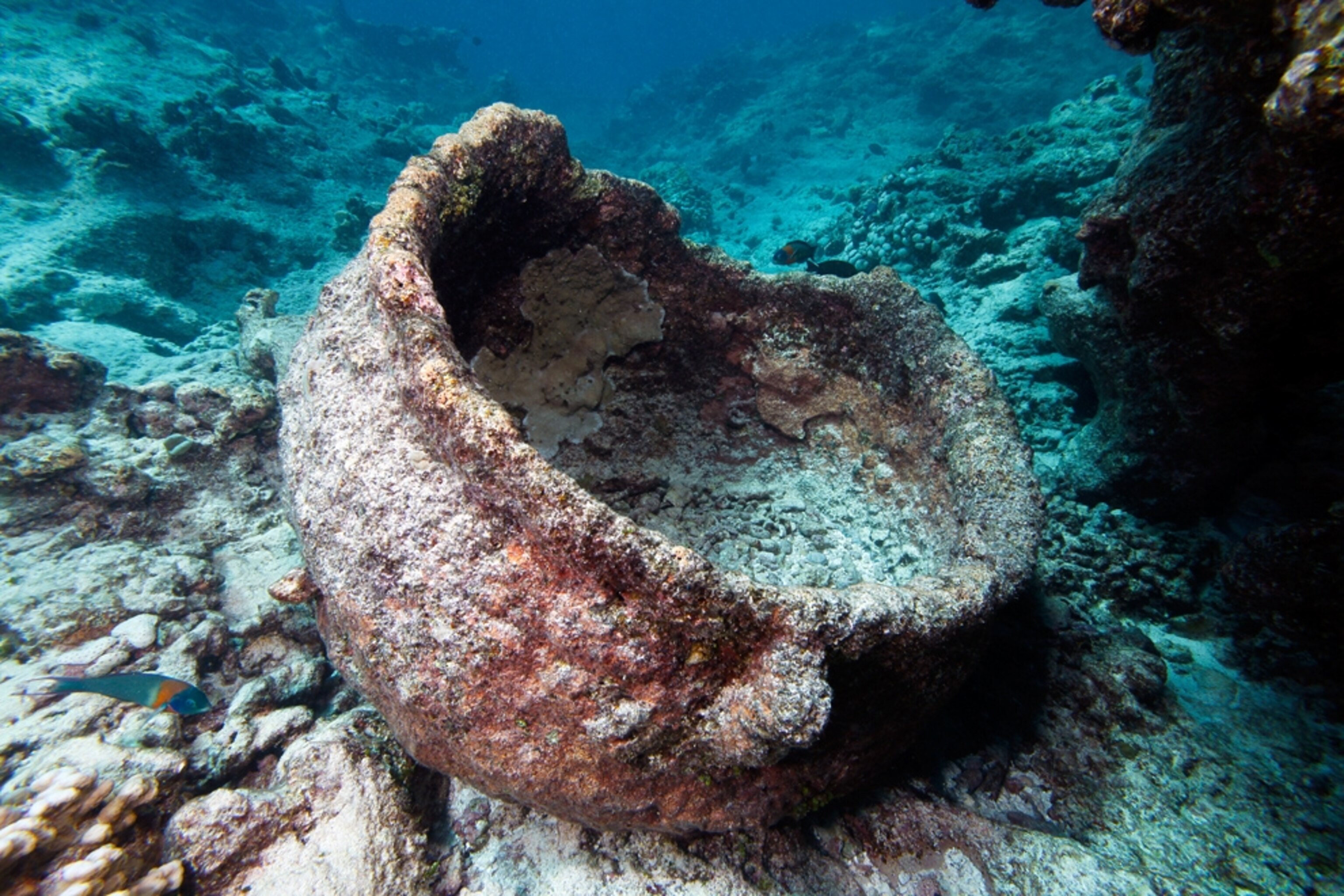 Picture: A cast-iron whale blubber pot is seen at the site of the Two Brothers shipwreck.