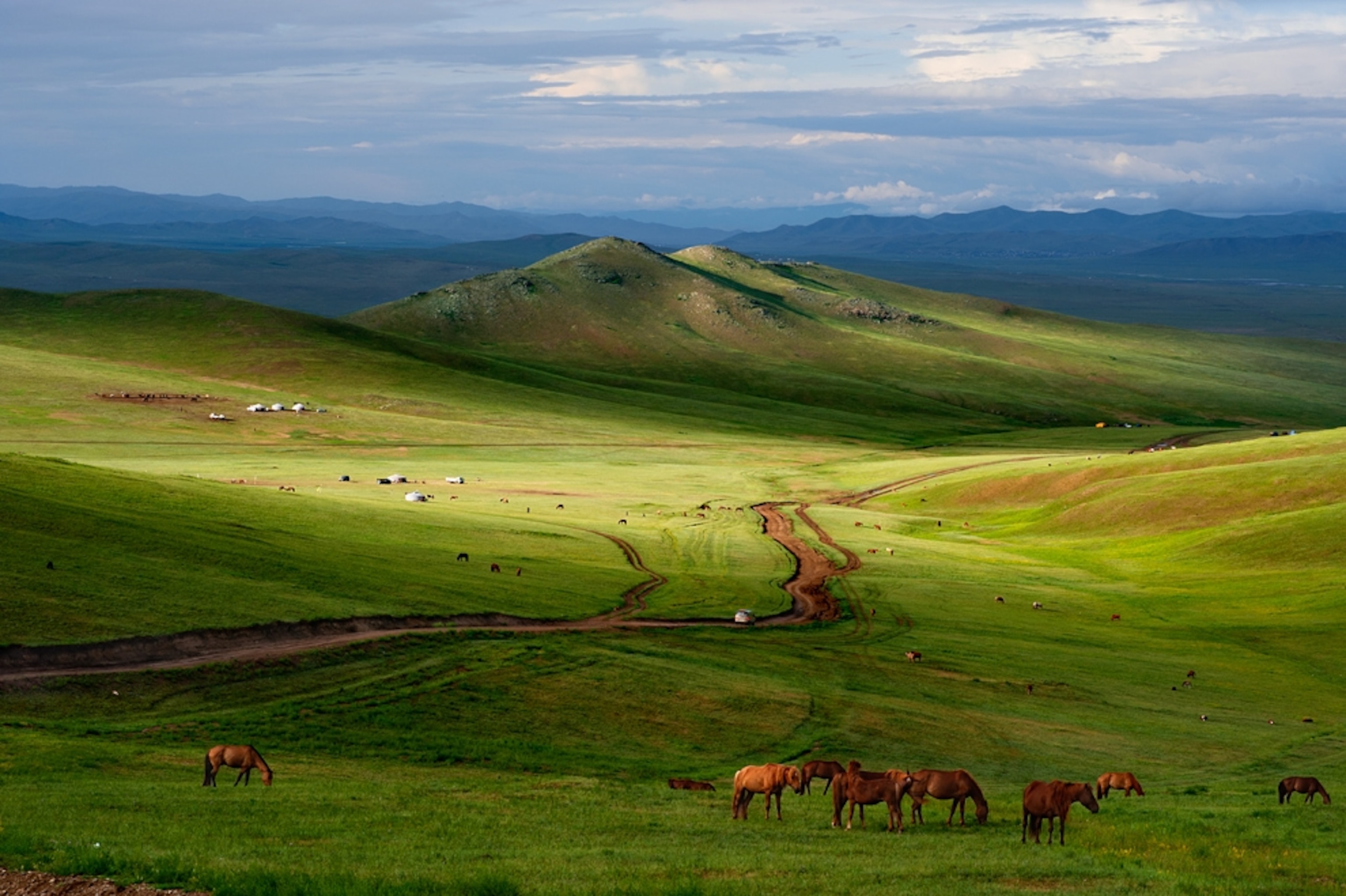 Mongolia picture: horses on steppes -- for gallery related to Earth's population hitting seven billion