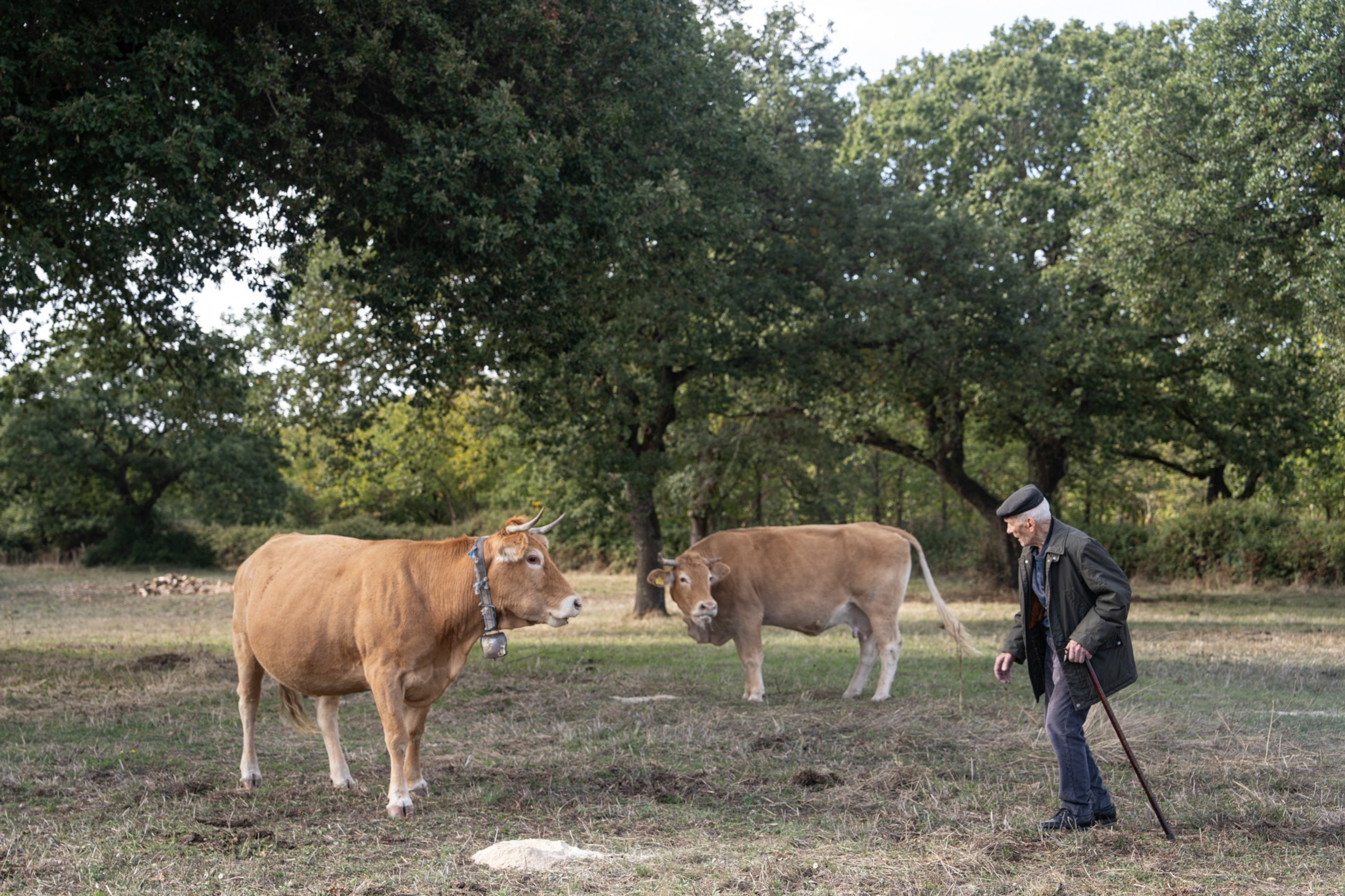 Many people in Bolotona are shepherds, a traditional way of life