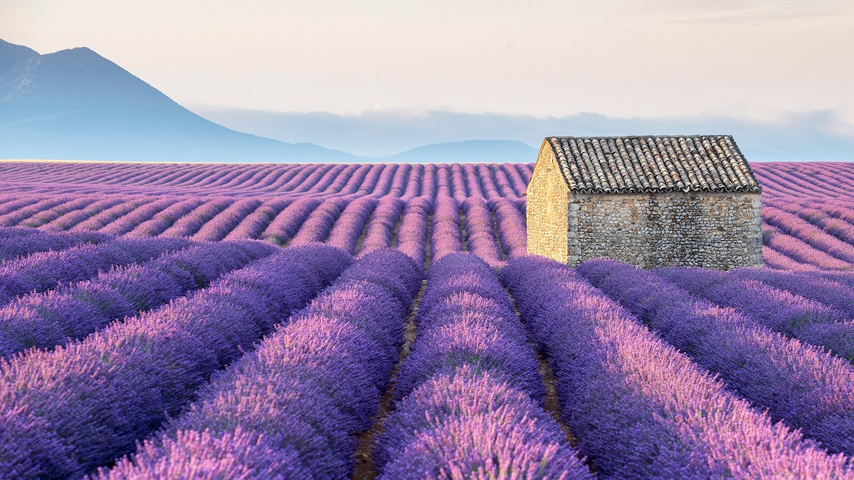 Where to travel in July
