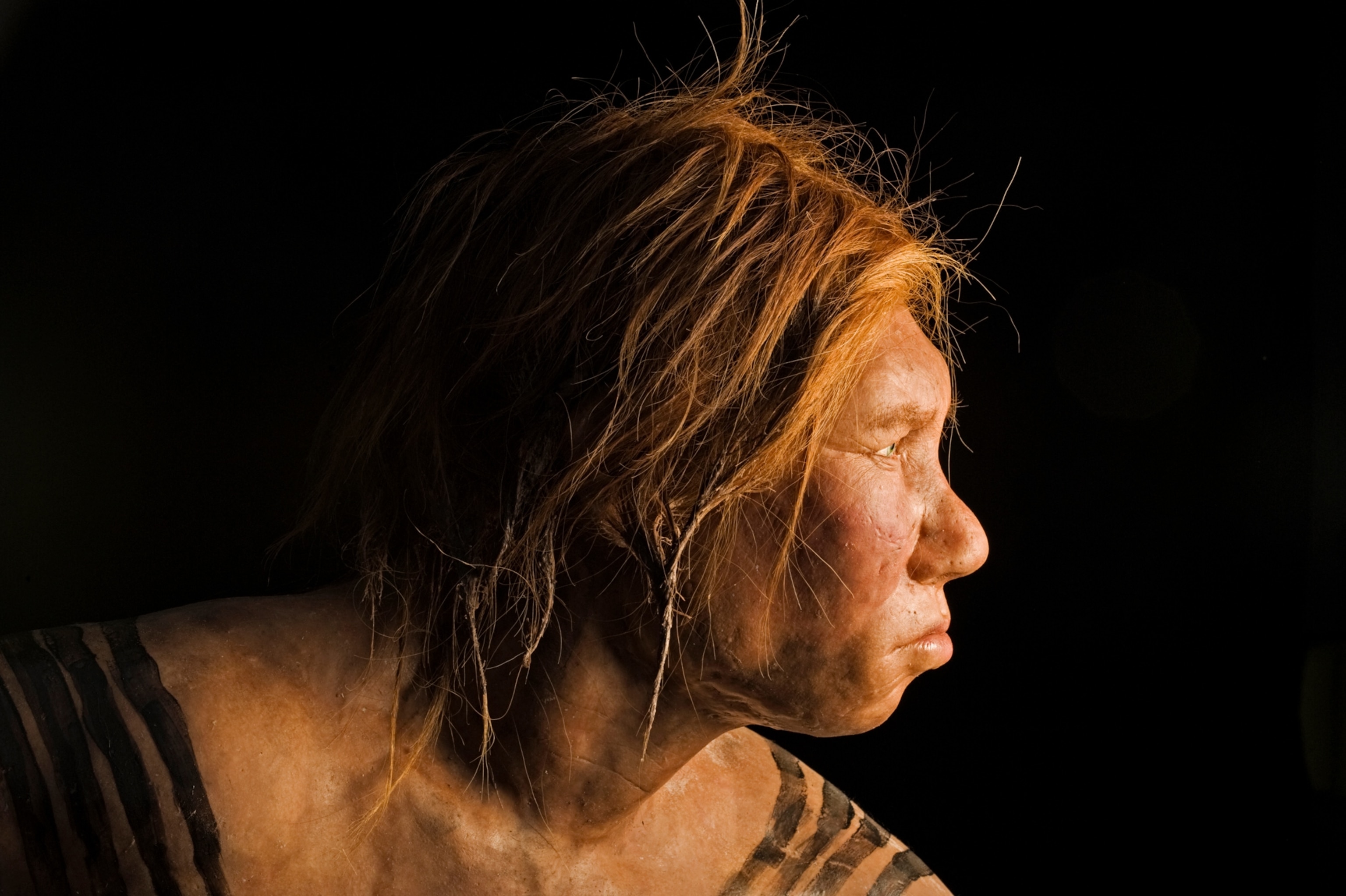 Neanderthal female