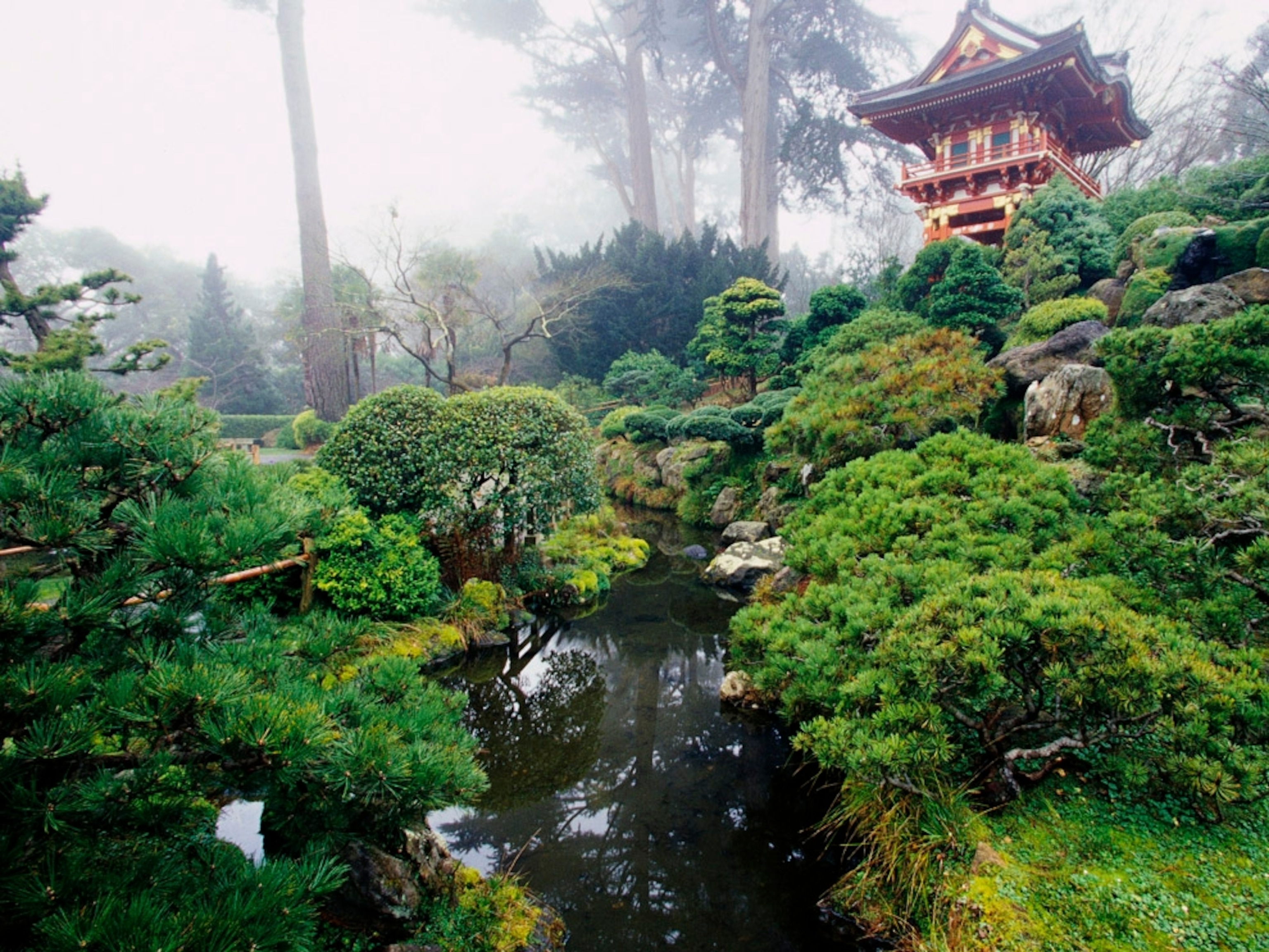 Japanese tea garden