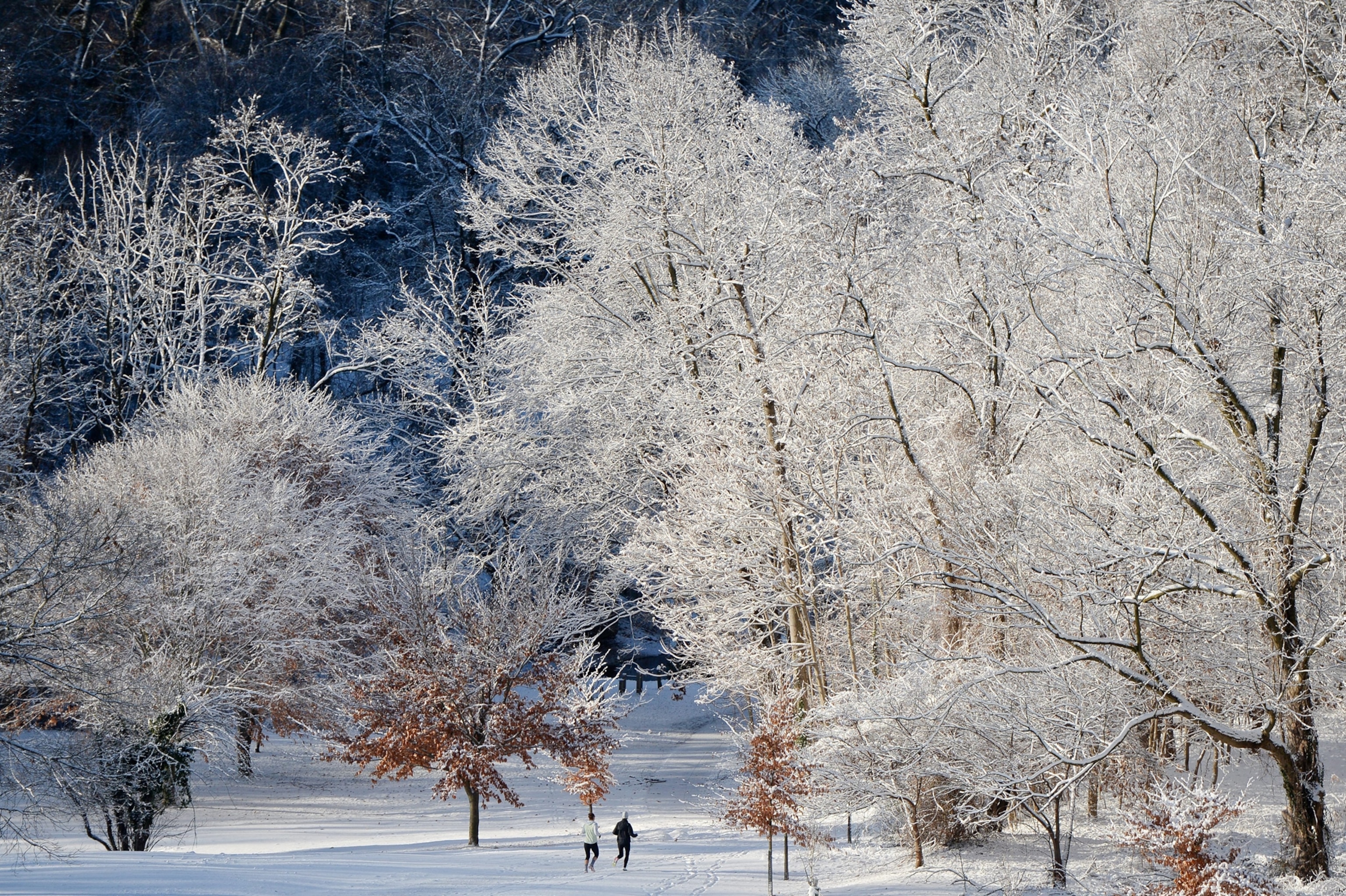 joggers running through Rock Creek Park in Washington DC after a snowstorm