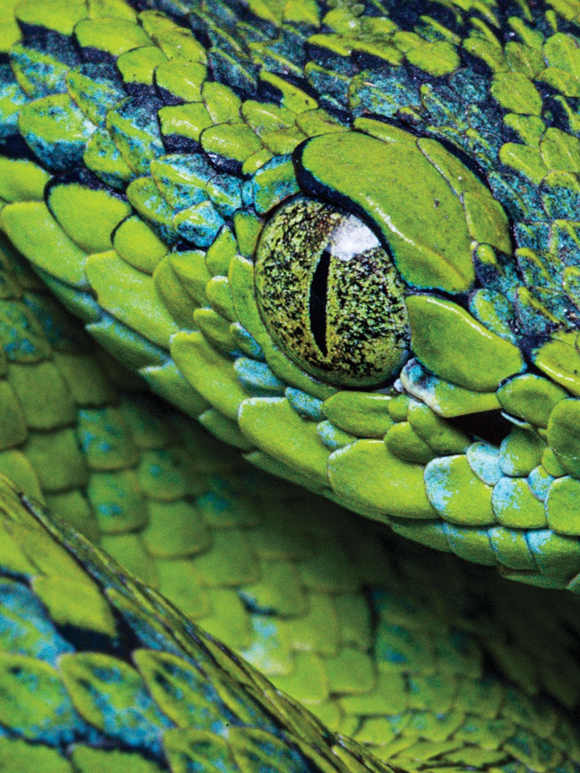 National Geographic
