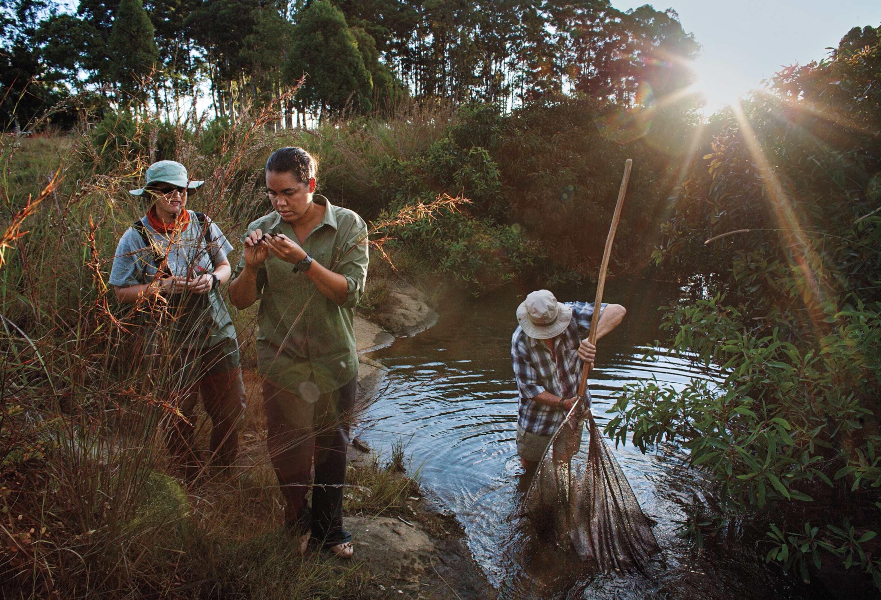 Two women on river bench looking at the plants they hold in hands, and man is up to his knees in water using net.