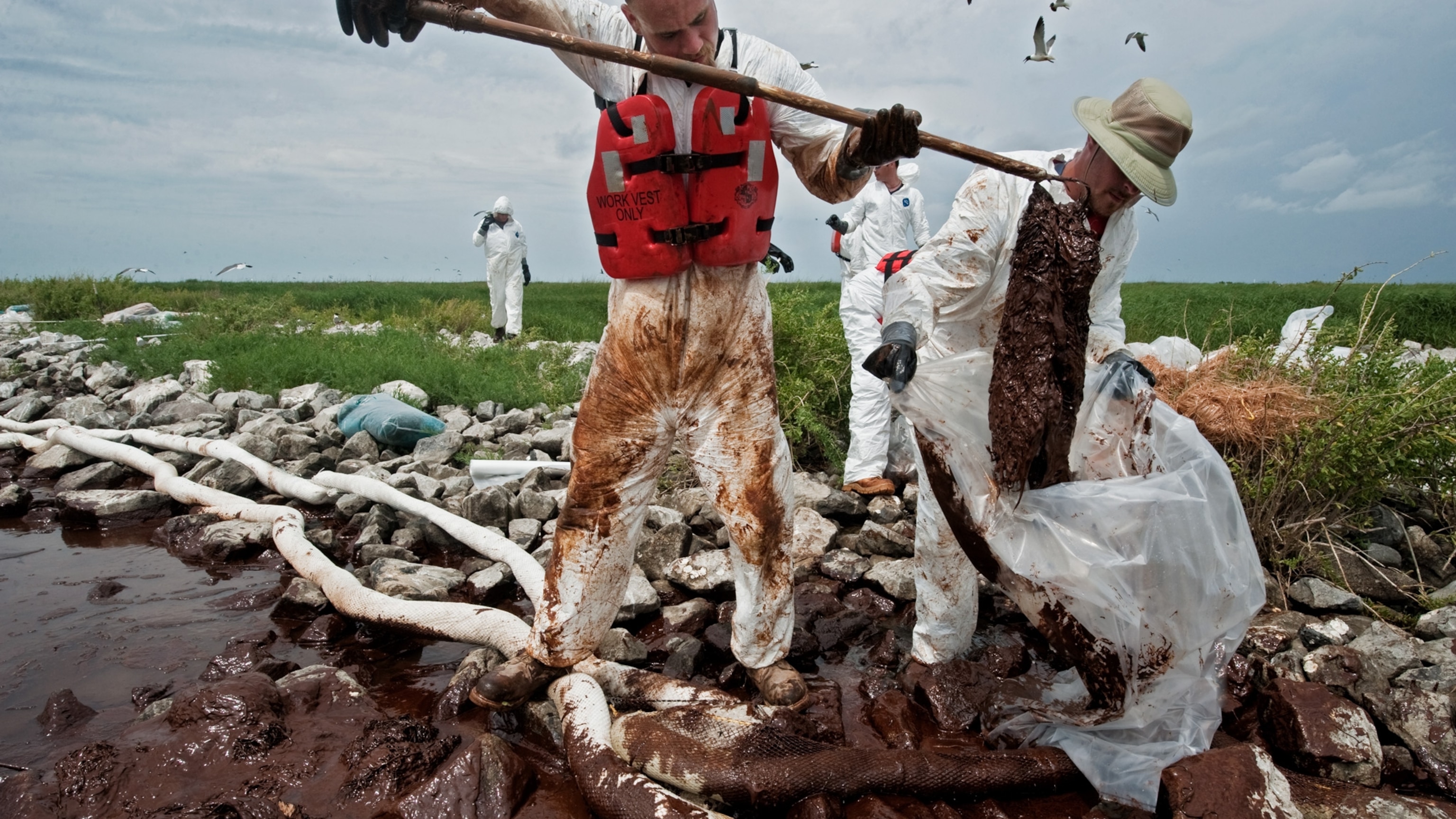 15-workers-bagging_16x9.jpg?w=1200