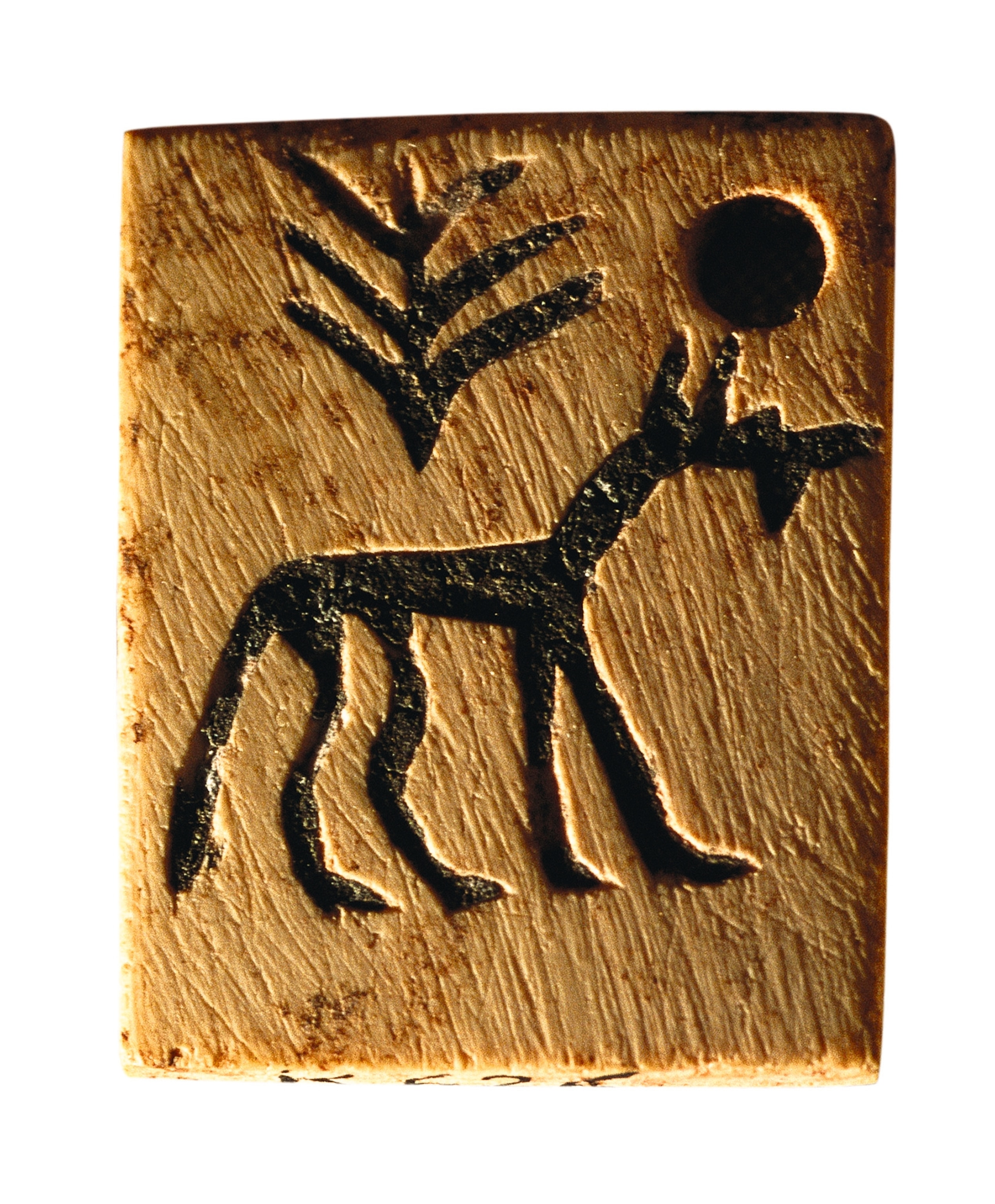 A bone label bears an early example of an Egyptian pictograph.