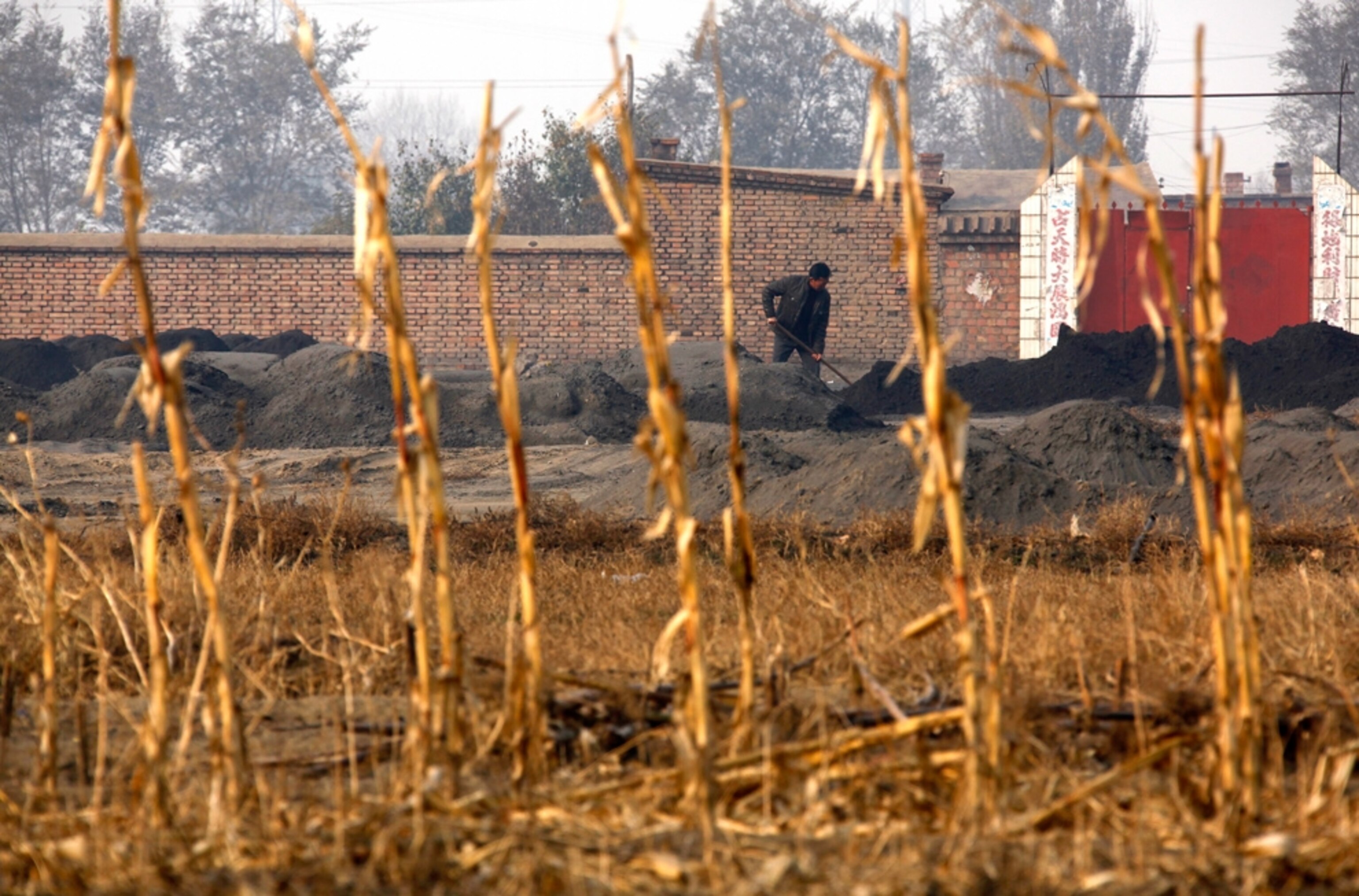Worker shoveling scrap rare-earth ore in Inner Mongolia