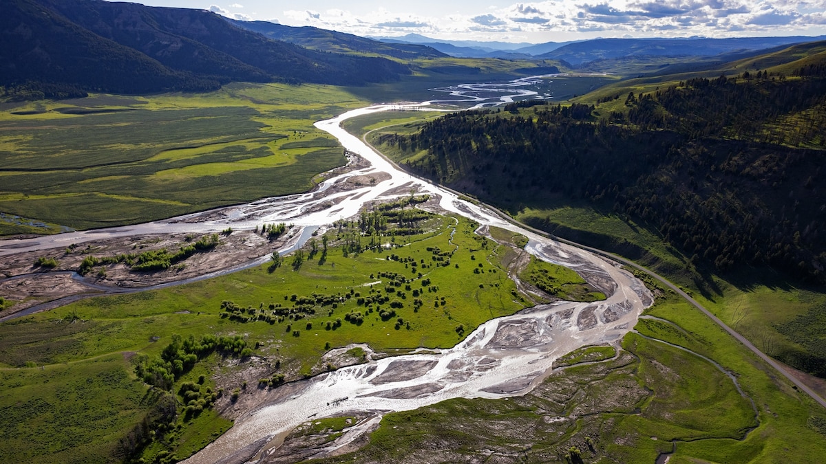 Historic Yellowstone flooding brings renewal despite destruction - Vimarsana News