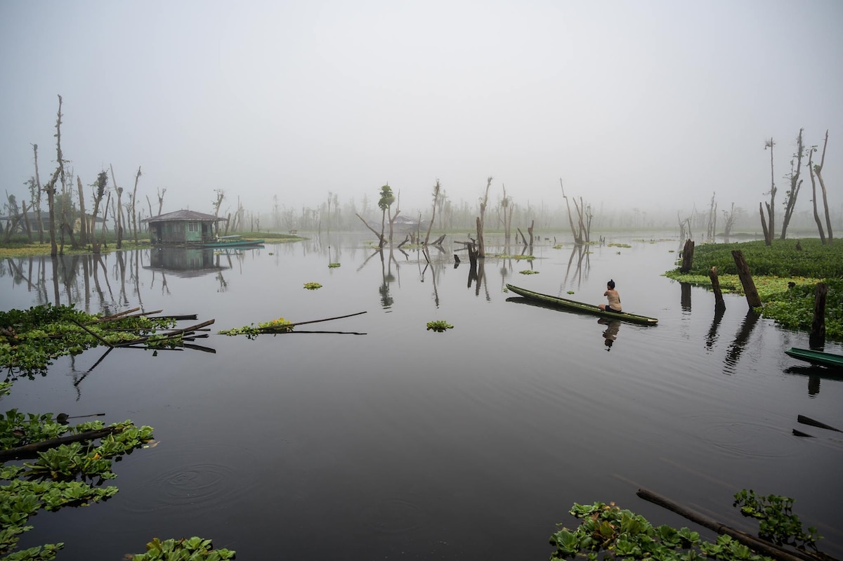 The world's wetlands are slipping away. This vibrant wildlife sanctuary underscores the stakes. - Vimarsana News