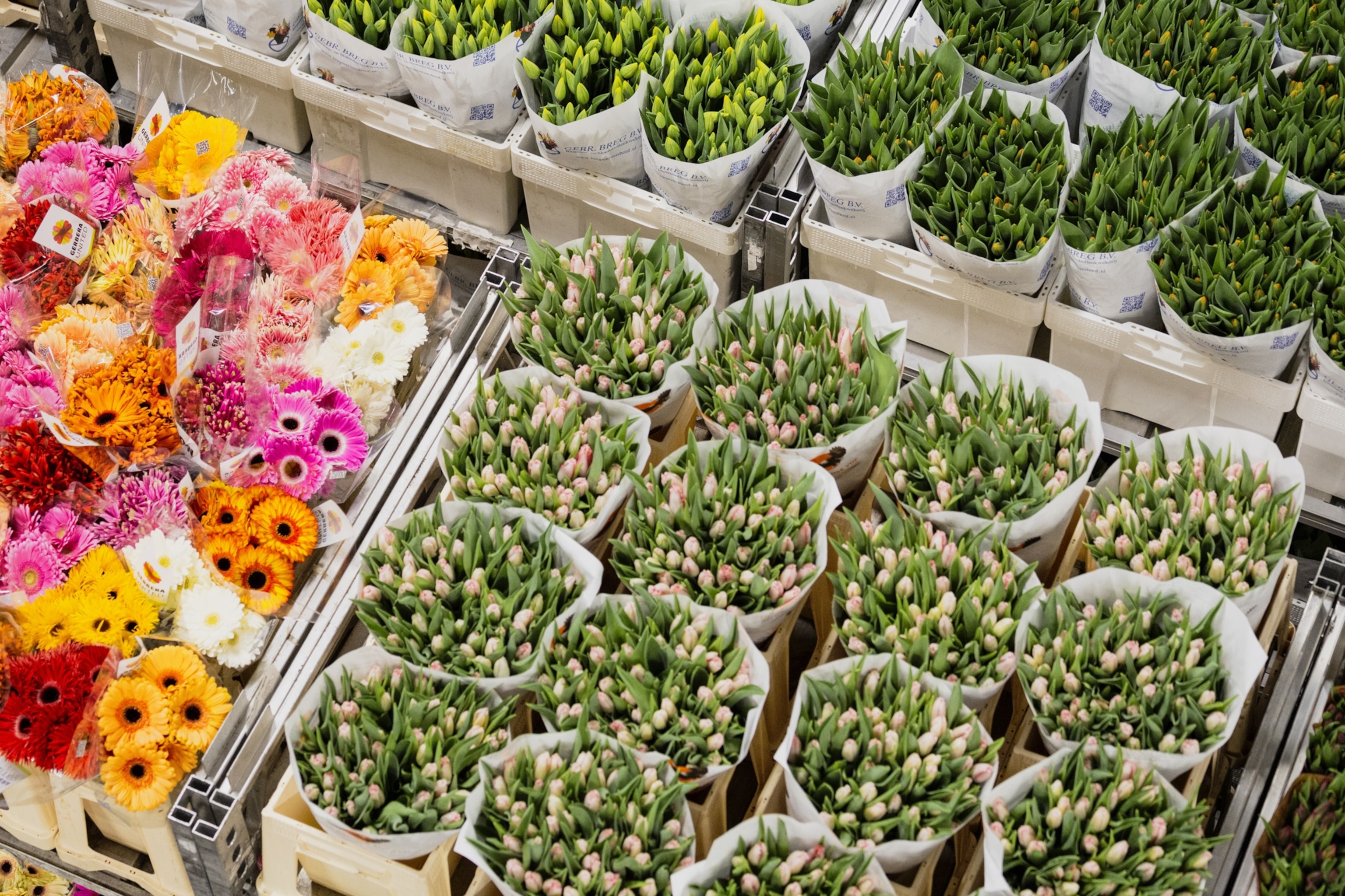 Various flowers photgraphed in containers from above.