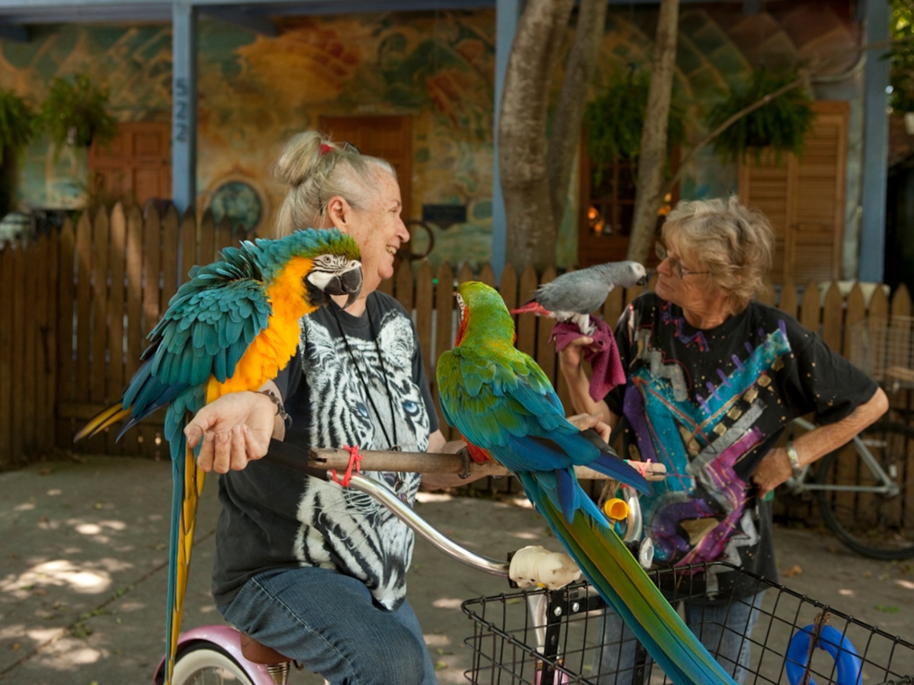 Nancy Forrester with two of her parrots in Key West
