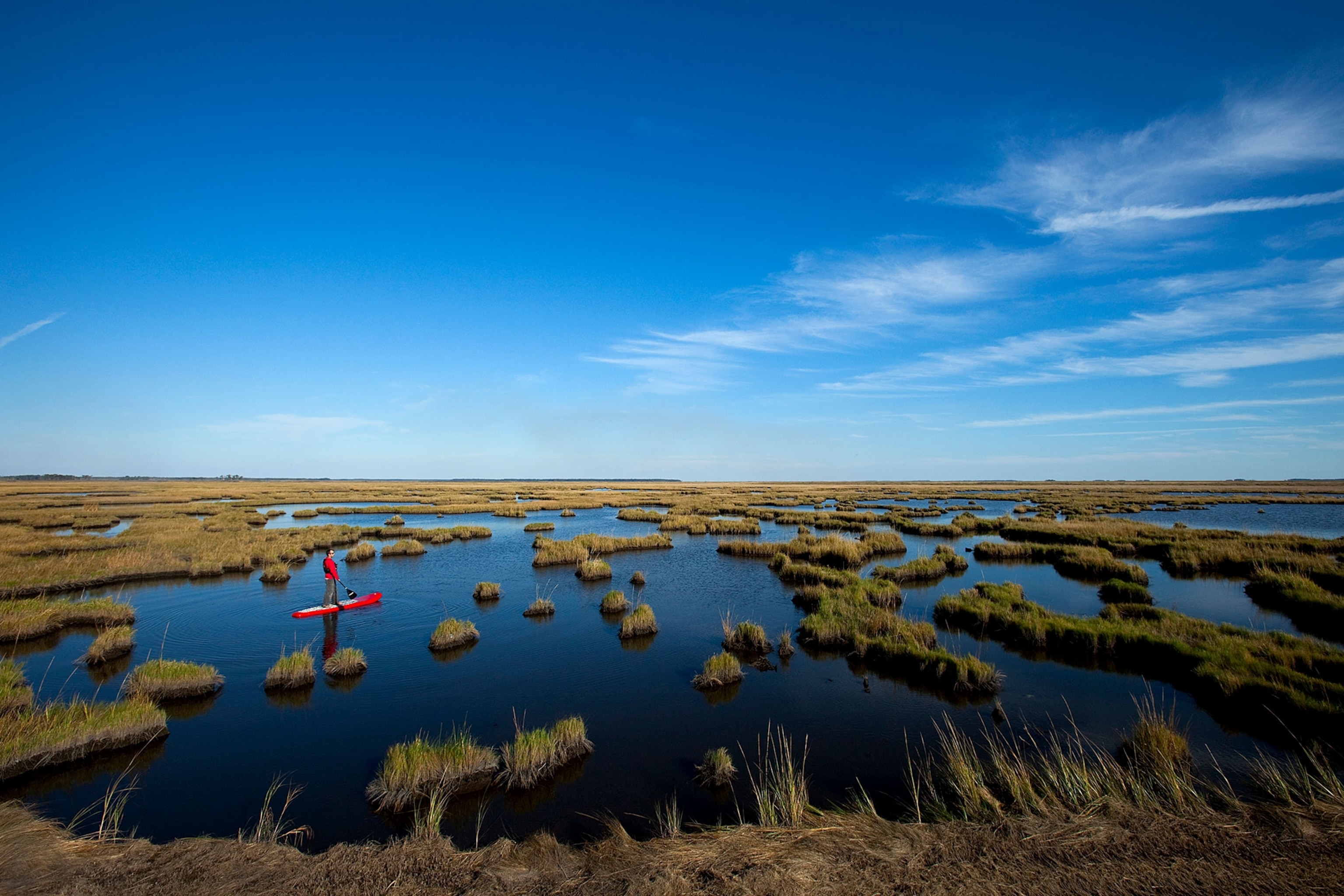 a paddleboarder in Blackwater Wildlife Refuge in Easton, Maryland
