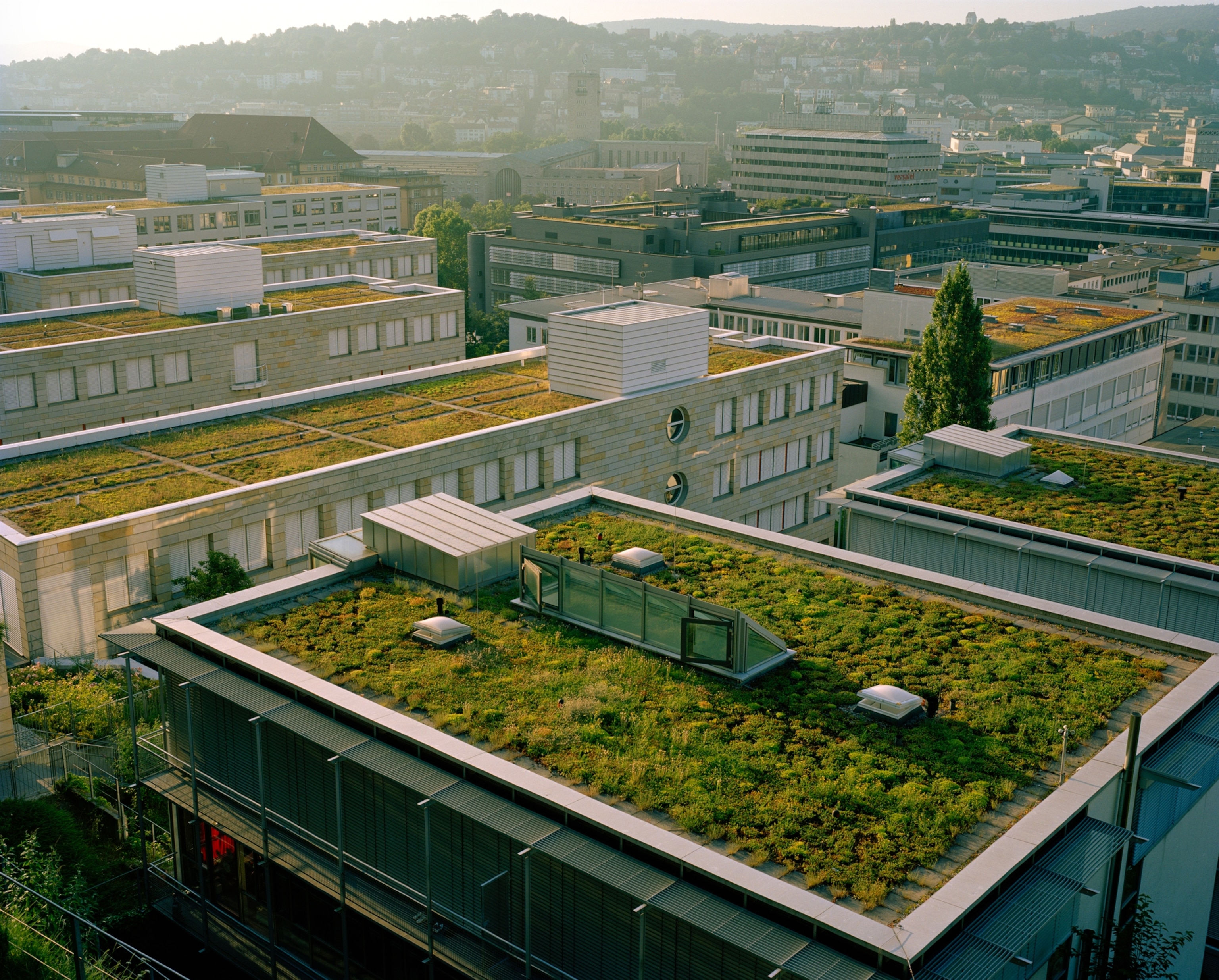 green roofs sprout toward the horizon in Stuttgart, Germany