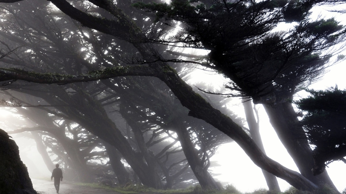 Point Reyes Station, California, America's Best Adventure Towns