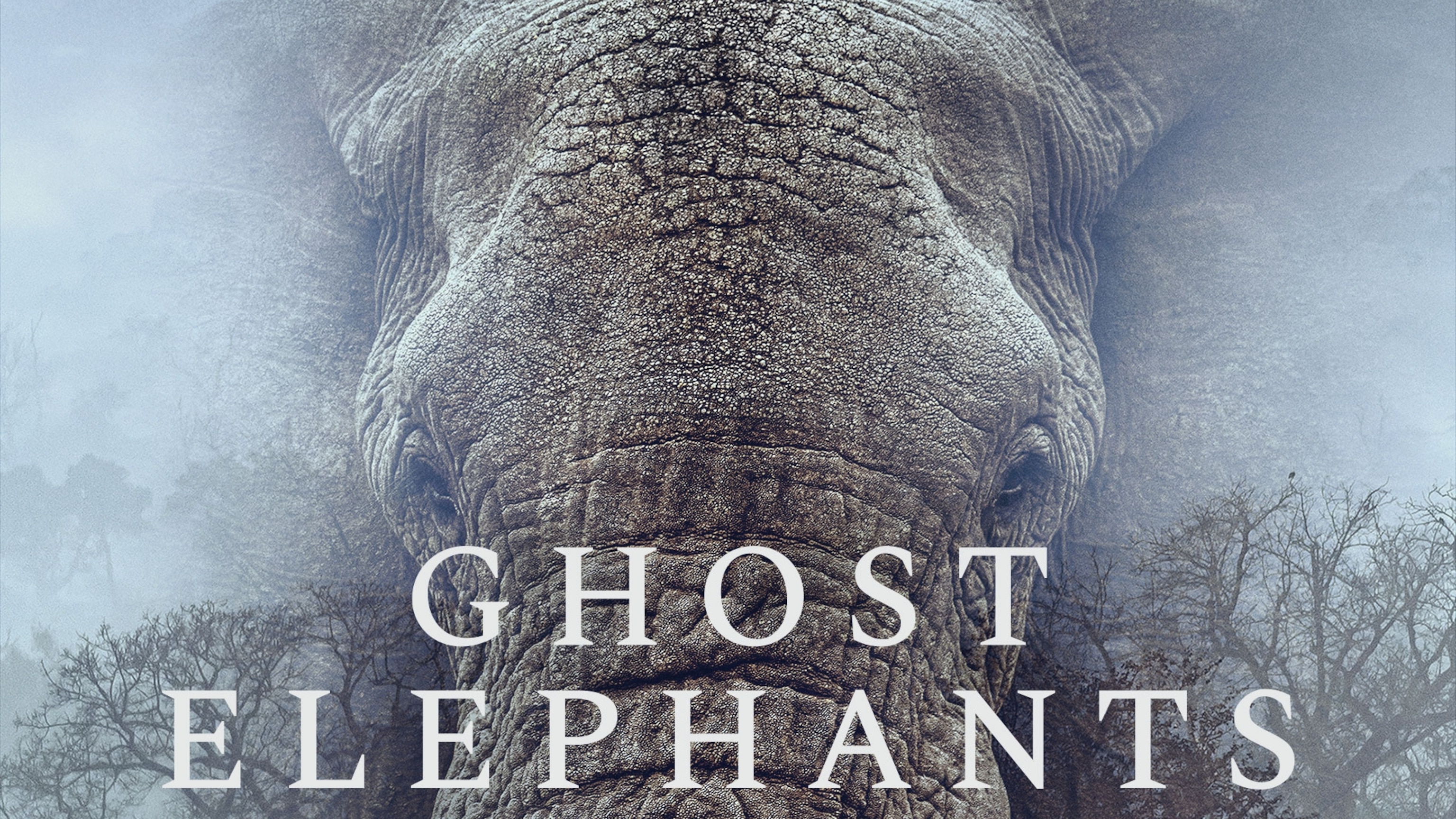 Ghost Elephants