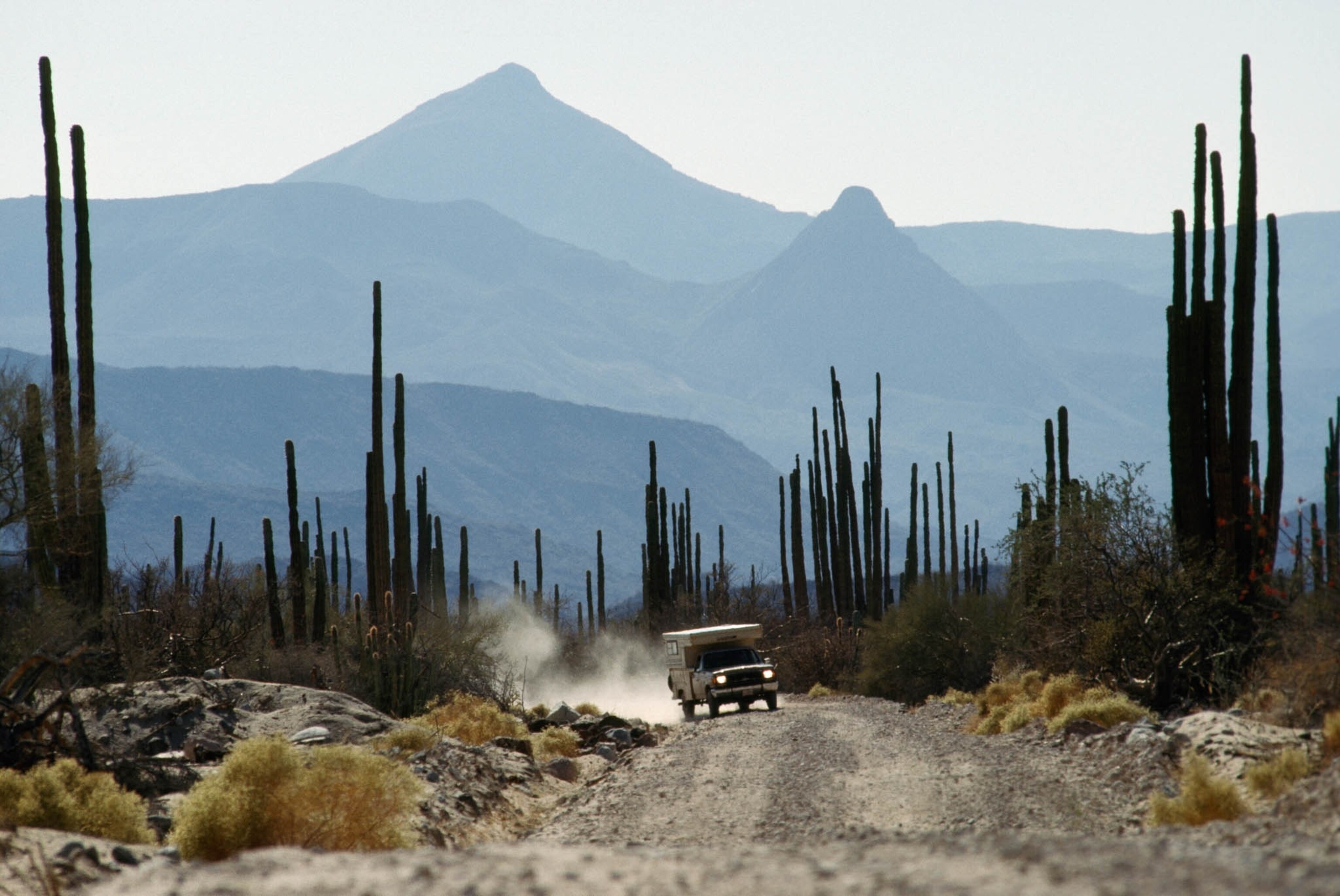 a camper van driving down a dusty road lined by tall cacti in Baja California, Mexico