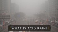 Acid Rain