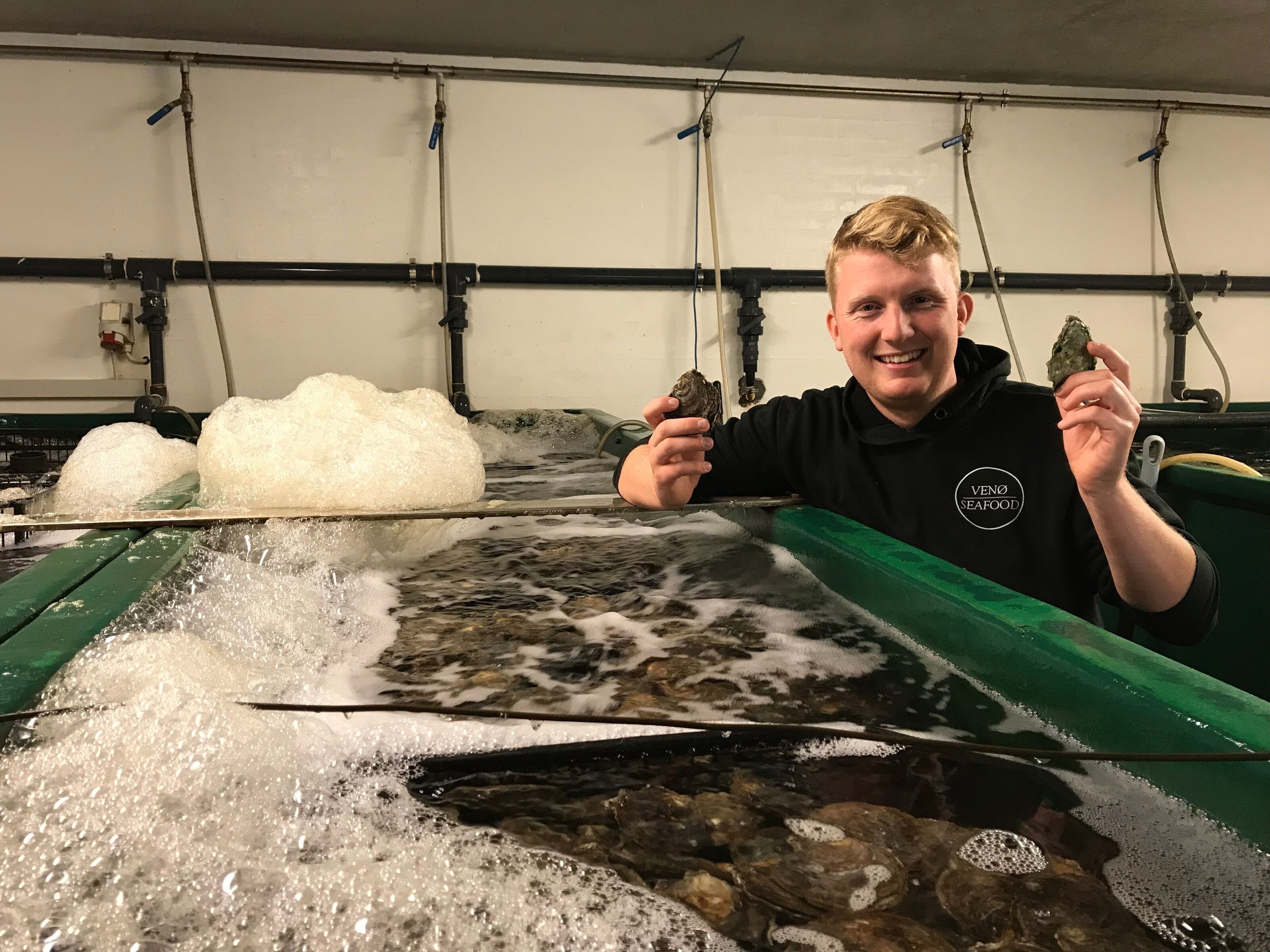 These oysters represent Kristian Borbjerggaard’s livelihood, but he doesn’t farm them. Kristian’s oysters grow wild — and once they’re harvested, he simply restocks the waters.