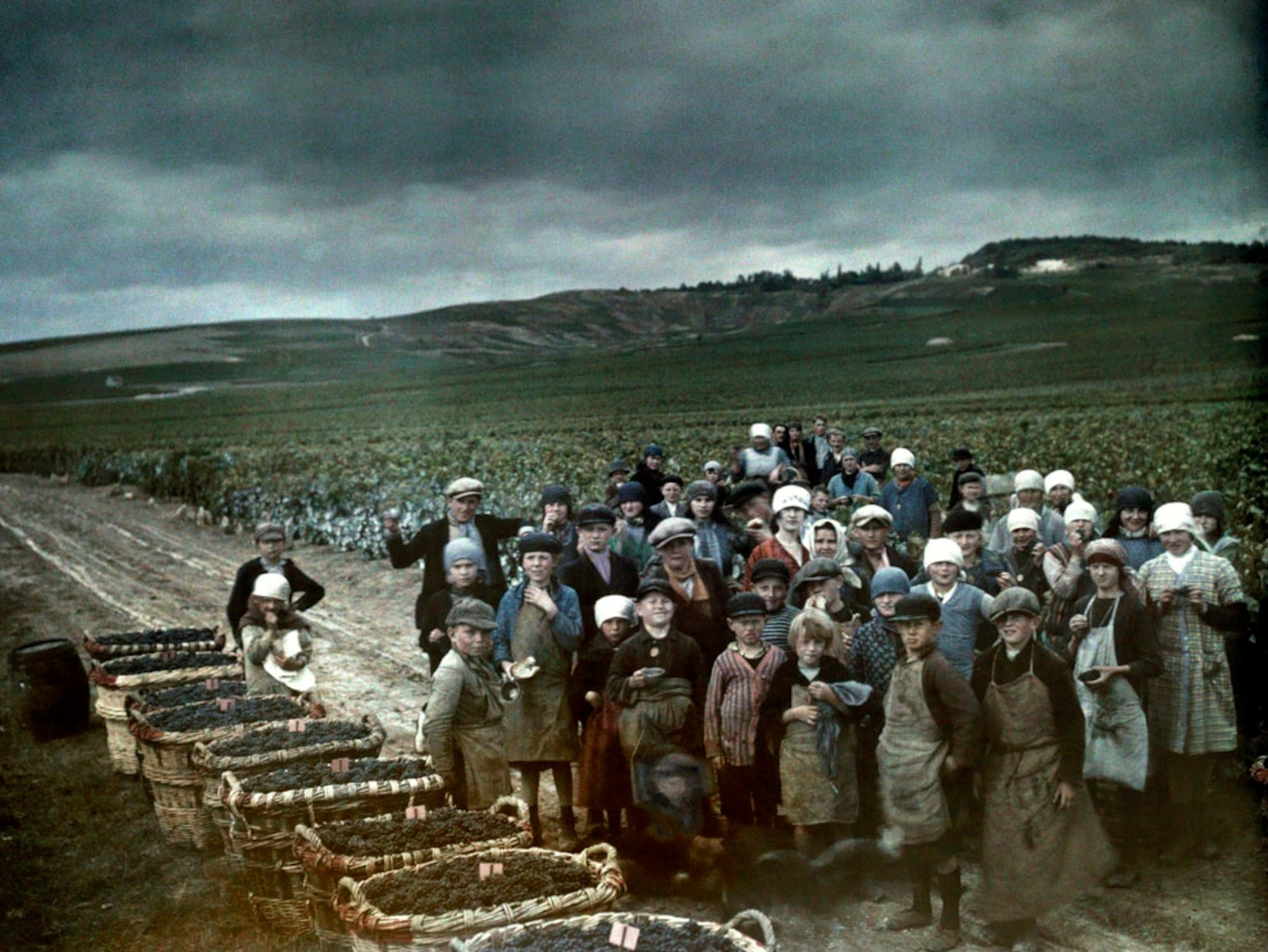 Grape harvesters posing for a photo in a vineyard
