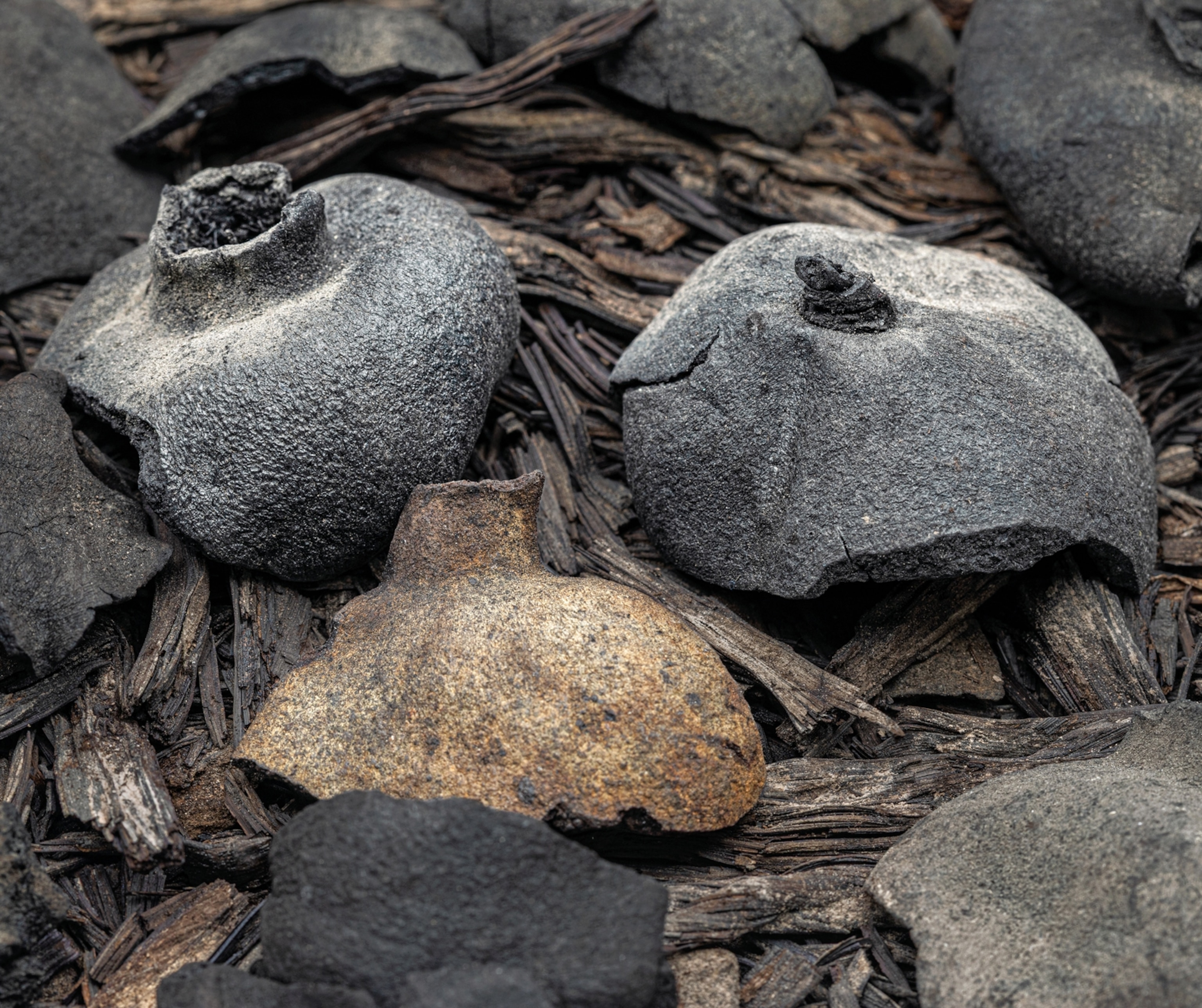 Pieces of black objects