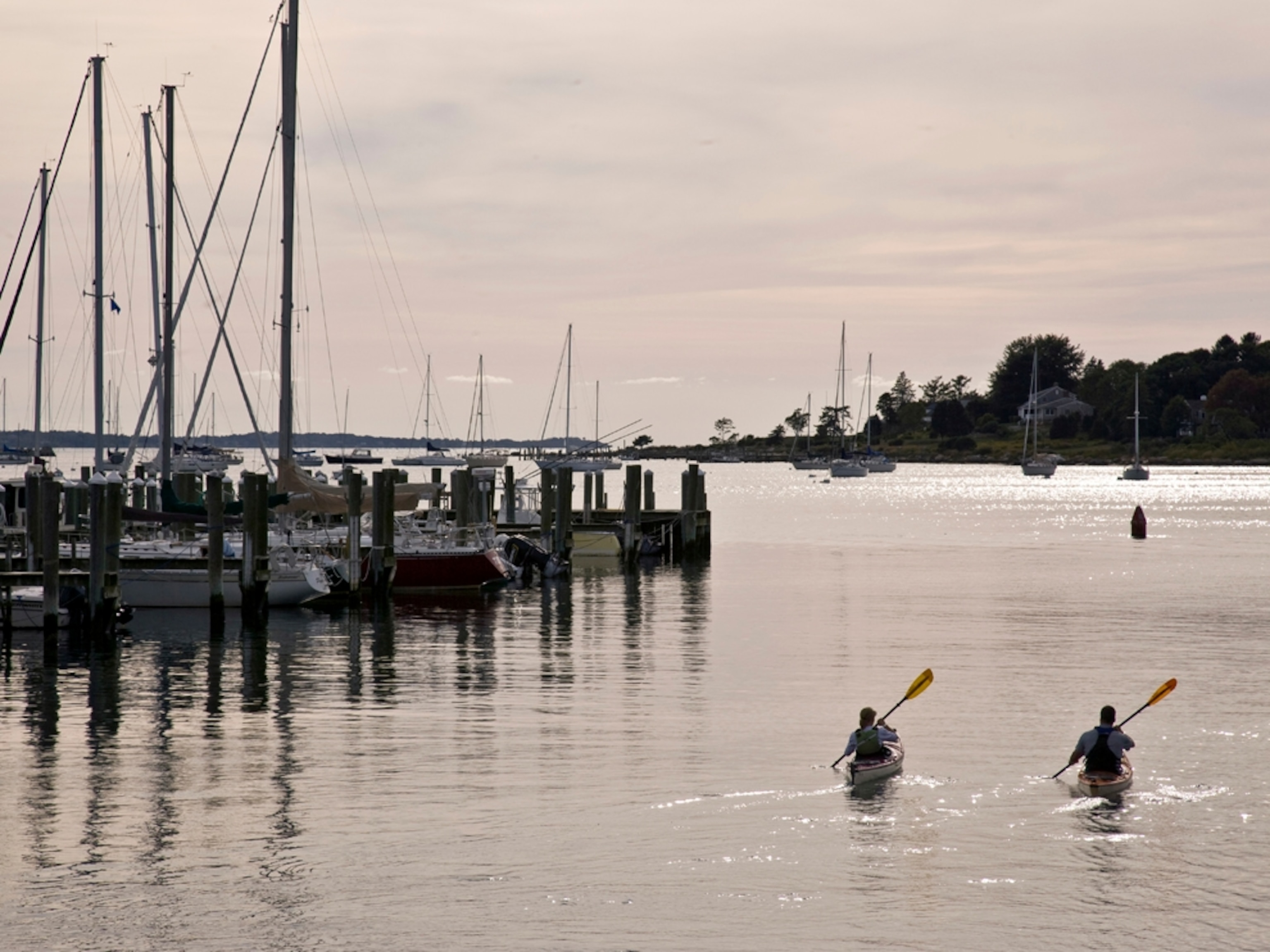Sea kayakers in a harbor