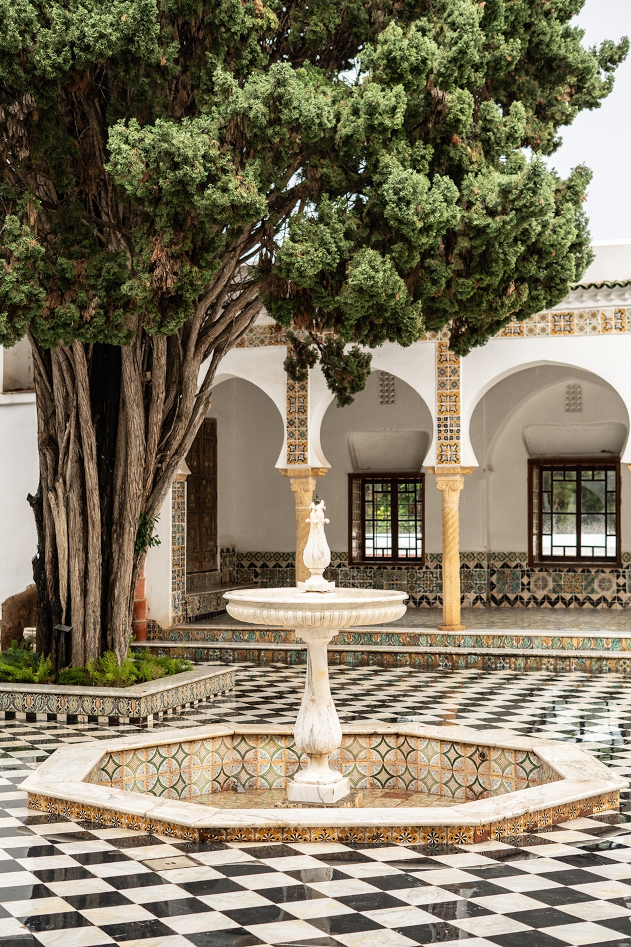 A symmetrical water fountain in a tiles courtyard with arched walkways in the background and a large, Mediterranean tree.