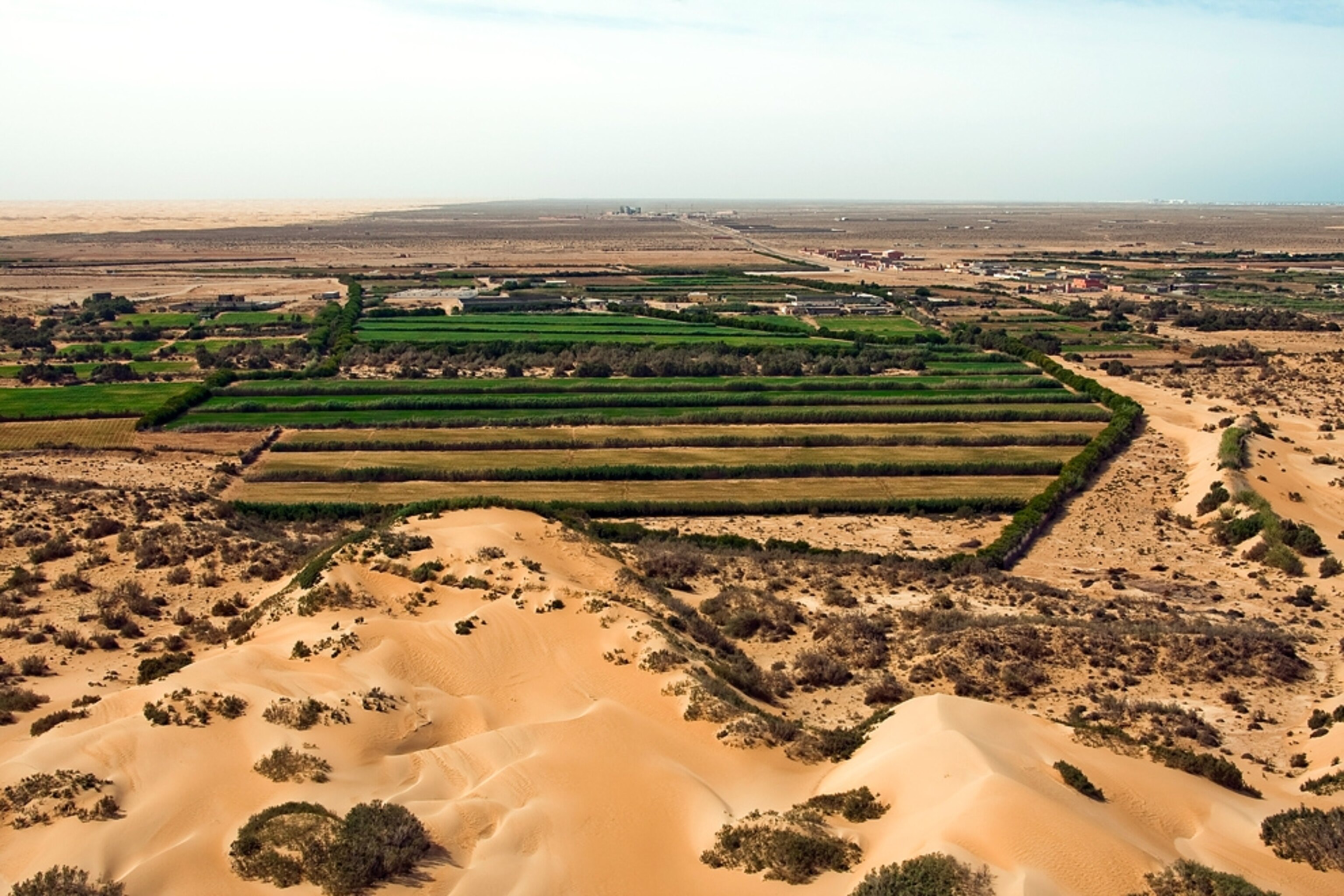 Western Sahara picture: green region -- for gallery related to Earth's population hitting seven billion