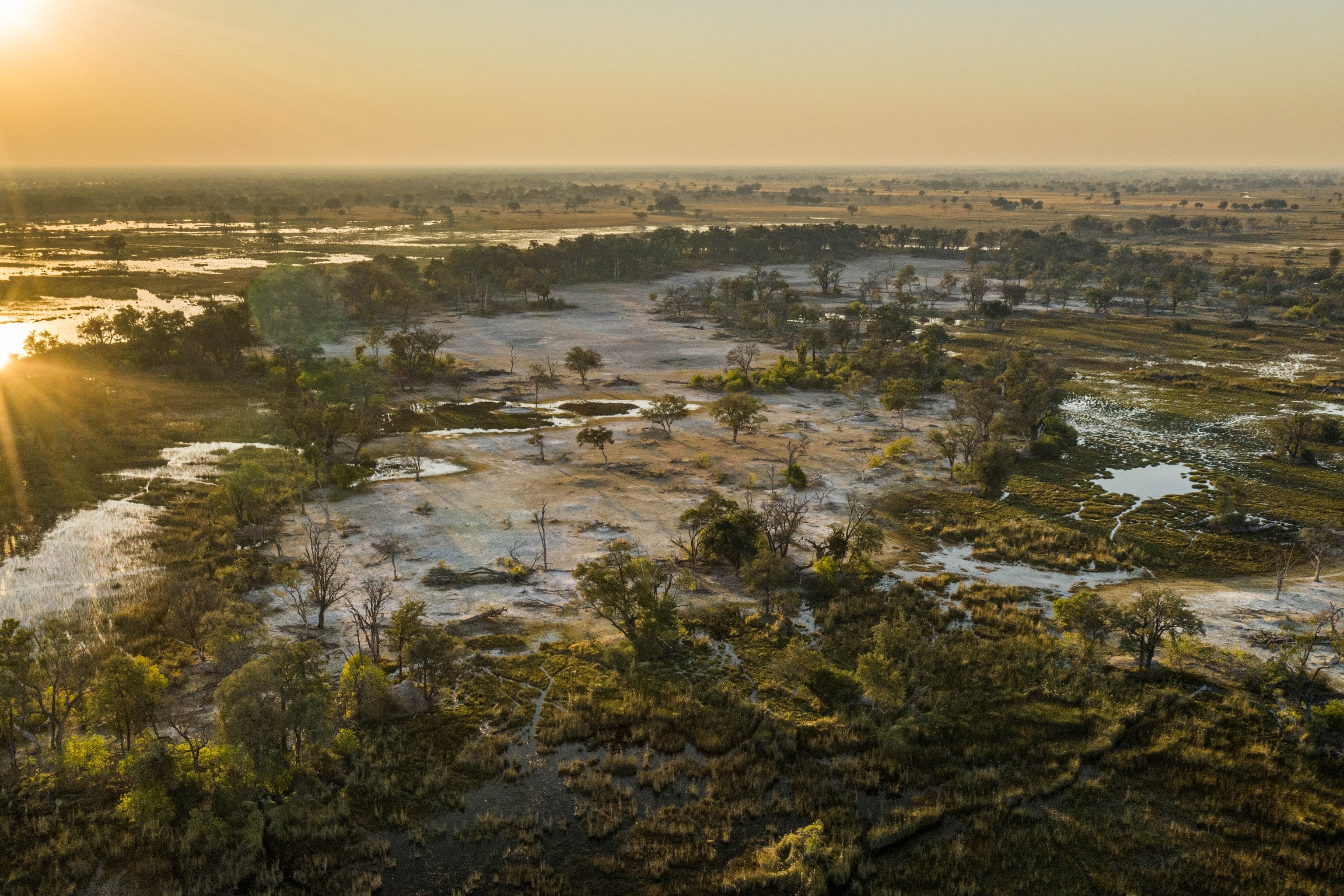 Okavango Delta Tours from the UK: Discover Botswana’s Iconic Wetlands - Overview of Okavango Delta Tours from the UK