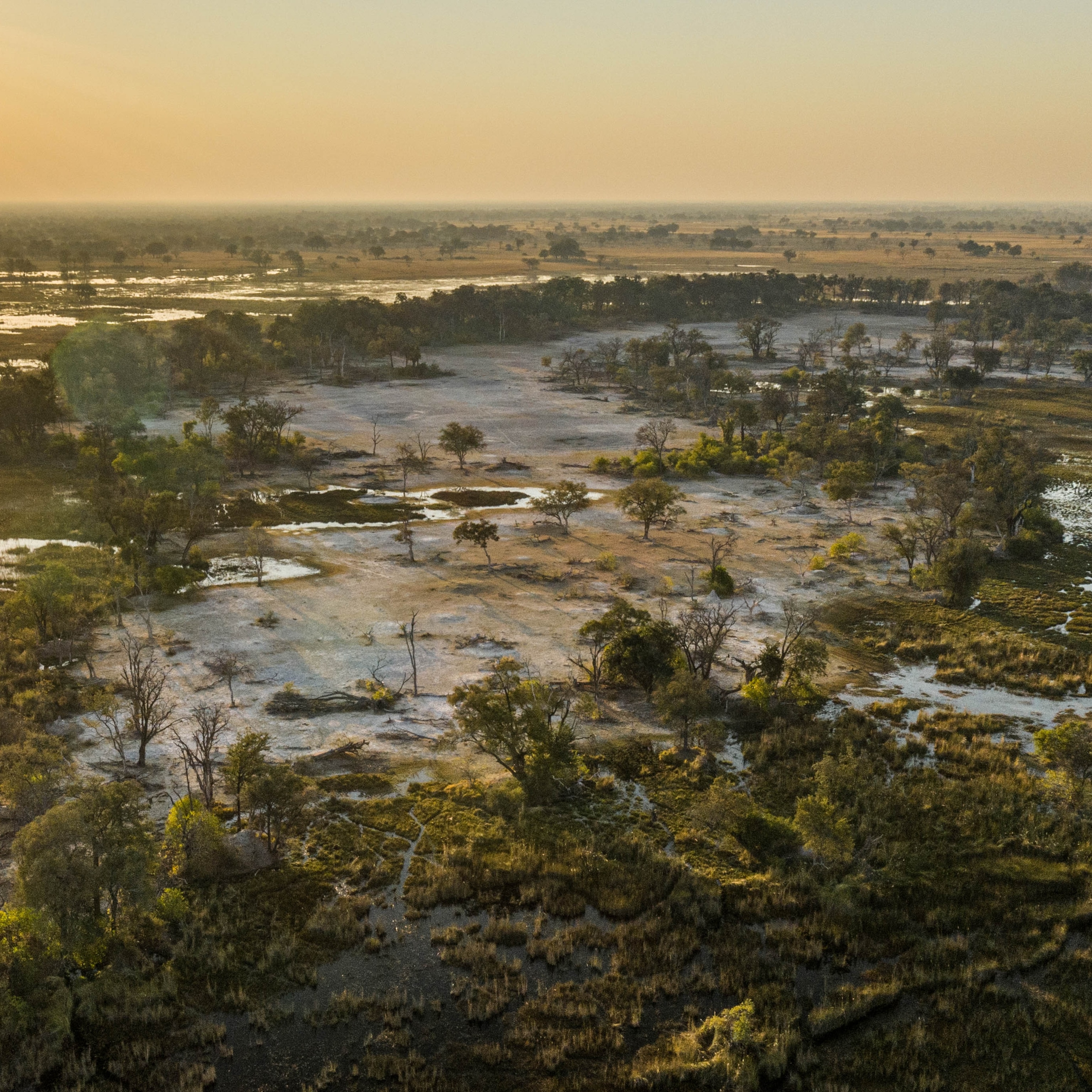 10 reasons to visit the Okavango Delta