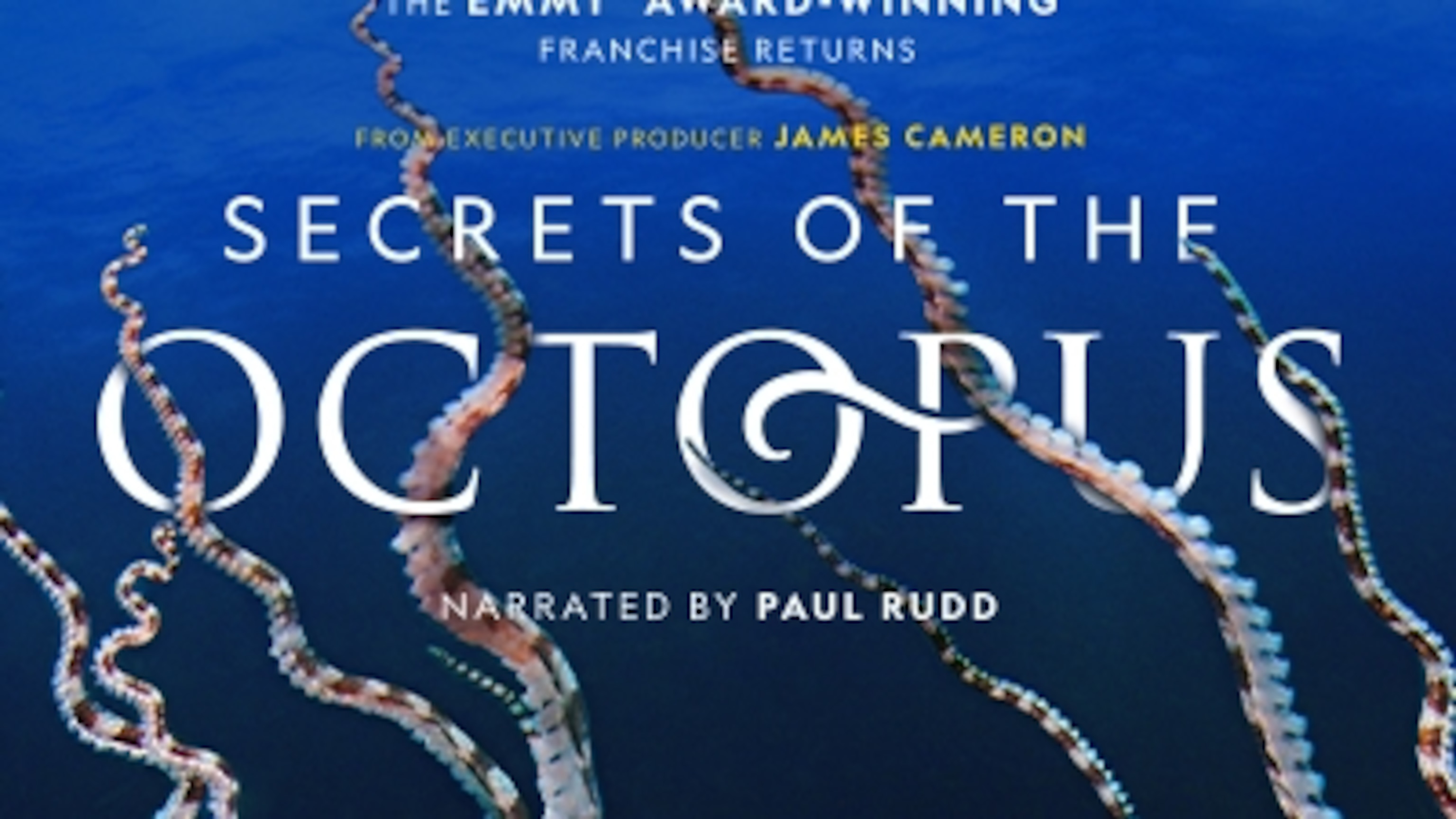 Secrets of the Octopus