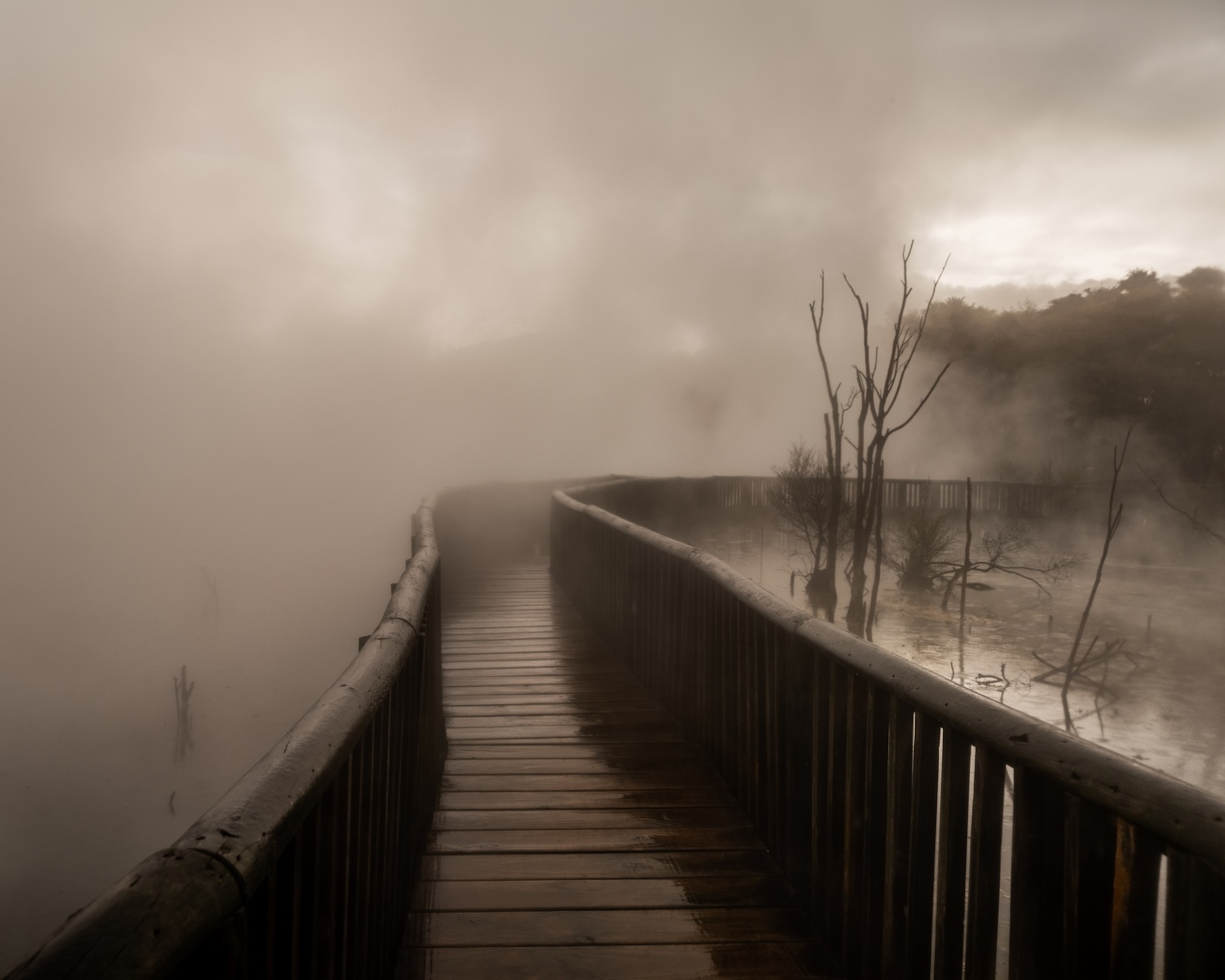 New Zealand, Rotorua and Bay of Plenty