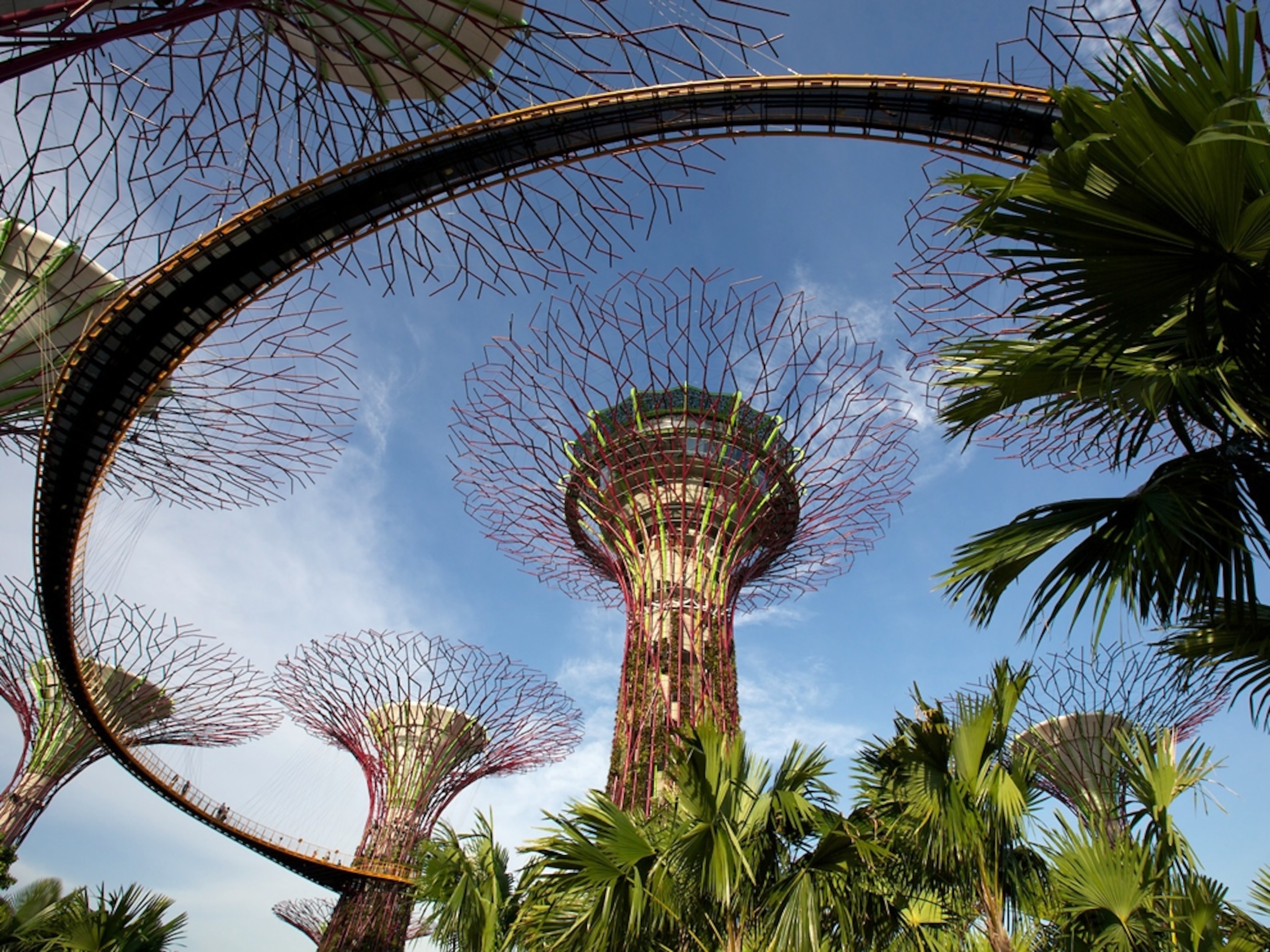 metal trees in Singapore