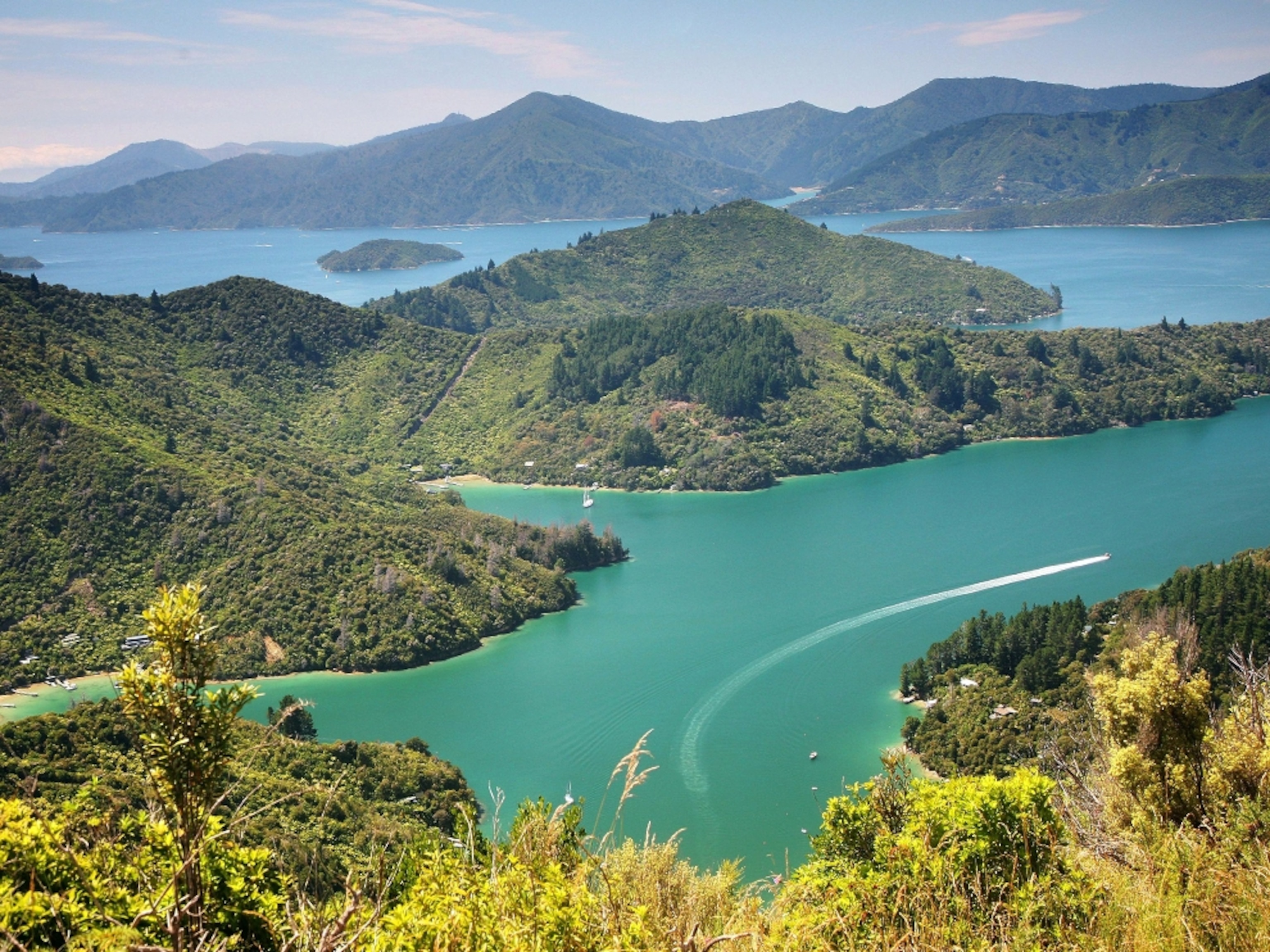 View of Queen Charlotte Sound from Queen Charlotte Track
