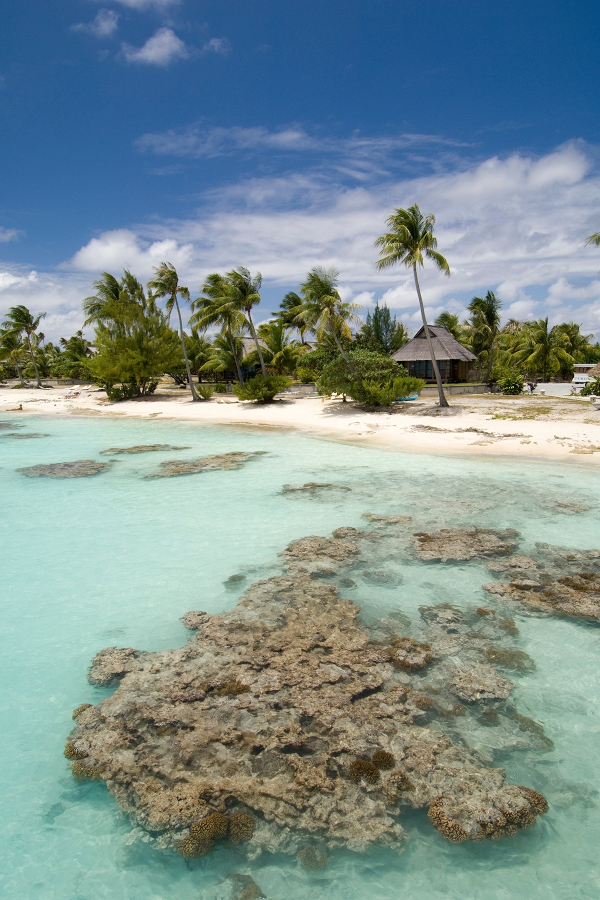 An air shot of an island's beach shore with palm trees in the background.