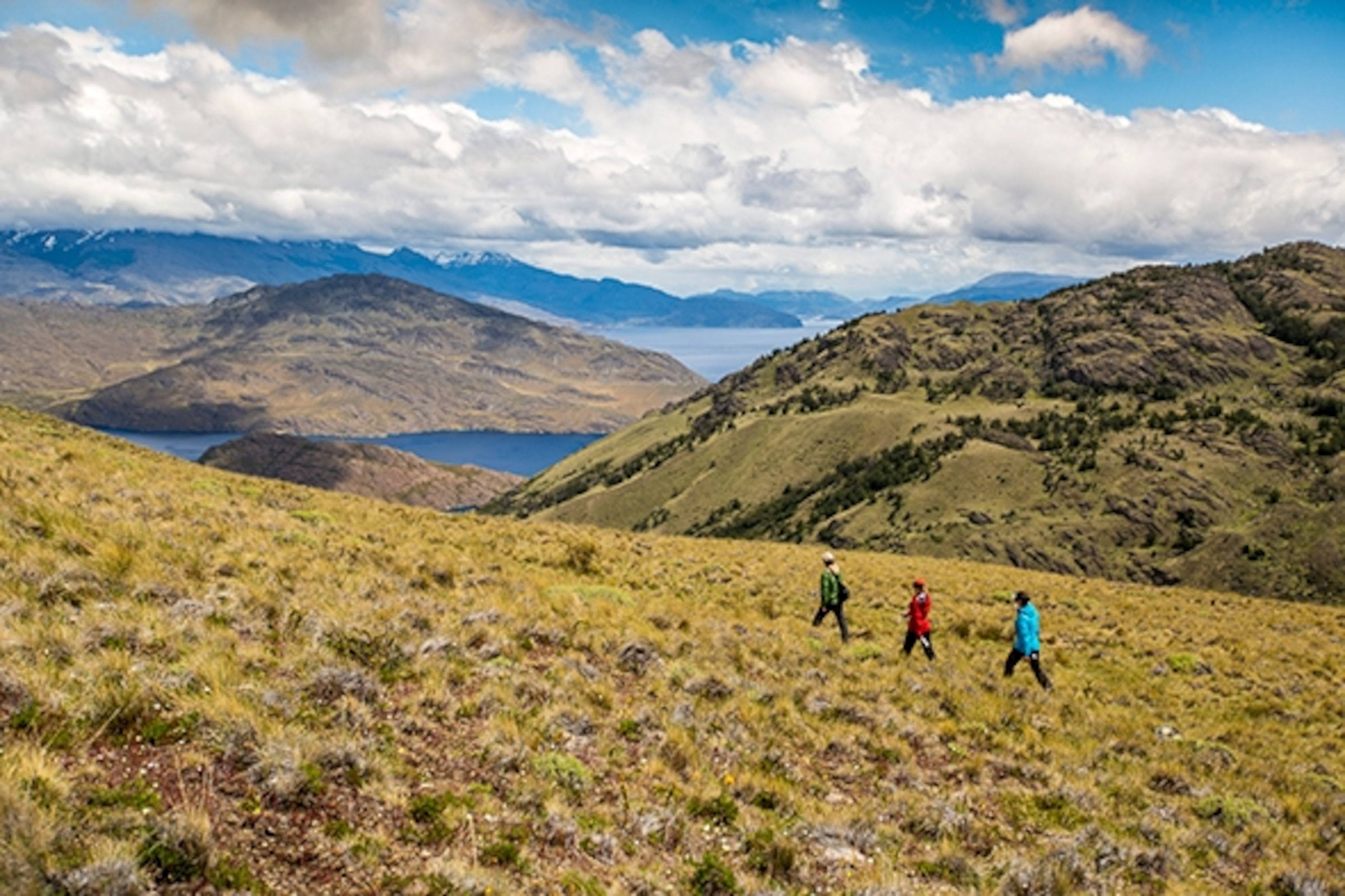 Will Carless, Kimberly Milligan, and Marty Schnure explore the future Patagonia National Park's newest trail with sweeping views over Lago Cochrane. Photograph by Ross Donihue.