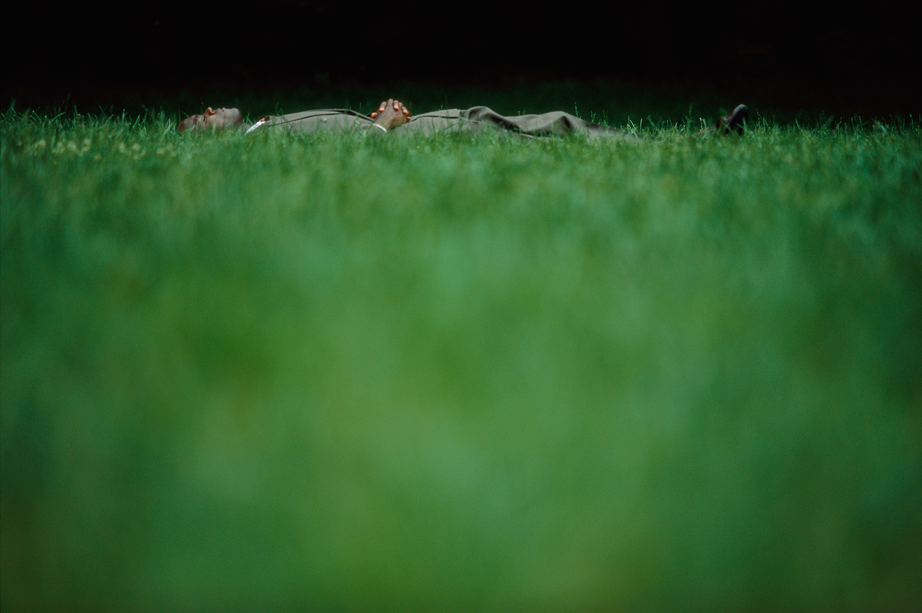 businessman napping in grass