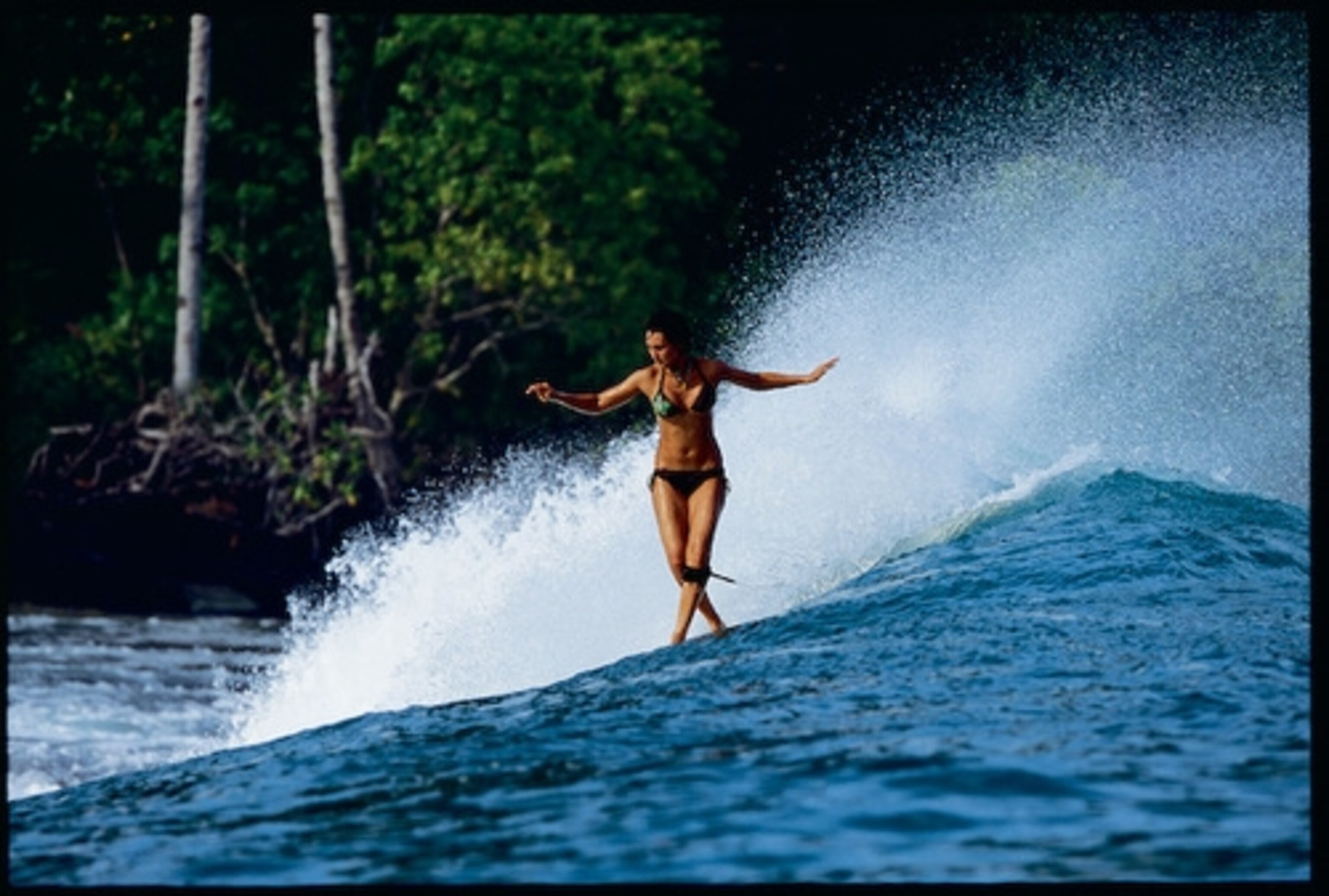 181395_kas_ind005_t_r1