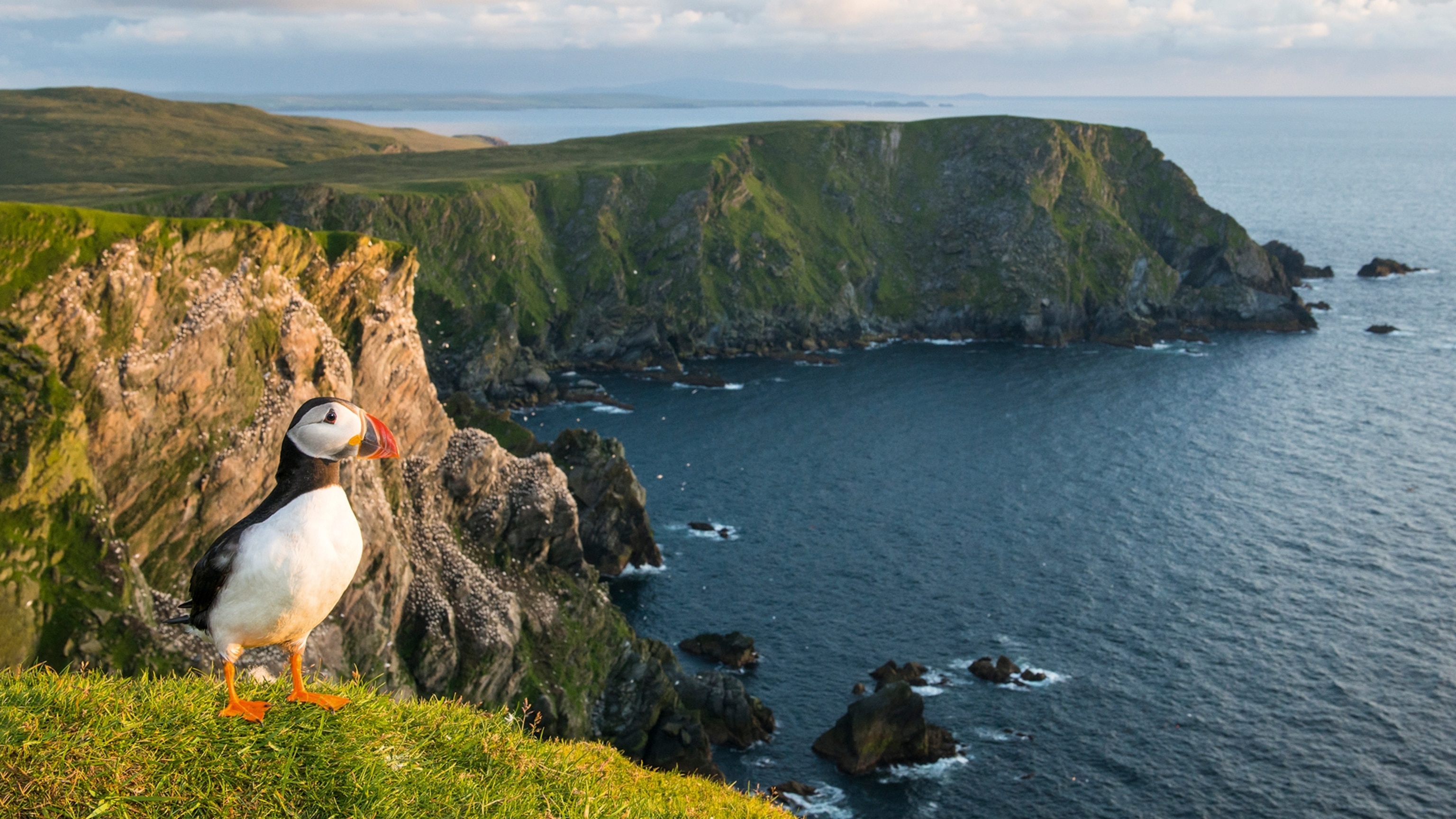 How to plan the ultimate island-hopping adventure in Scotland - Vimarsana News