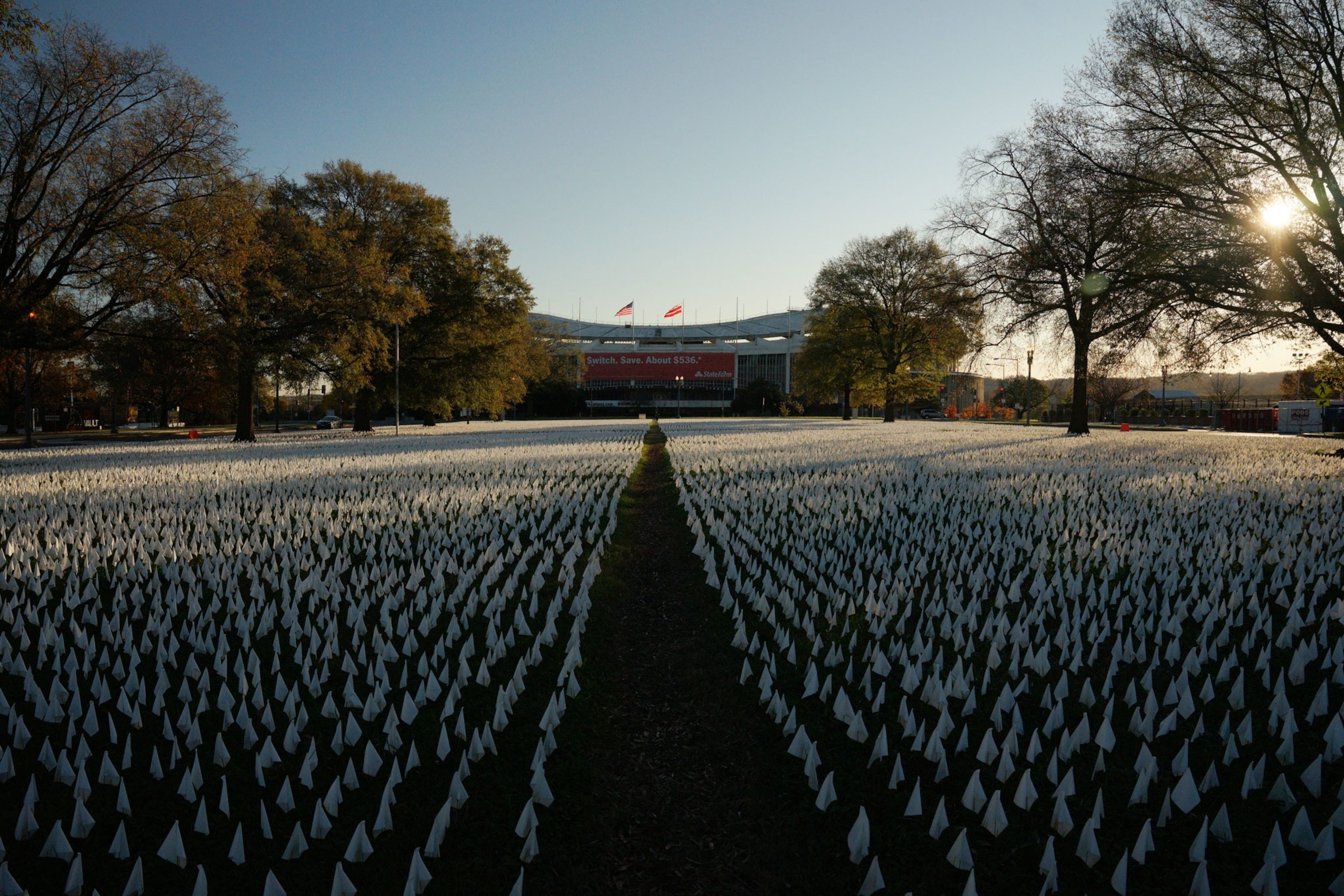 Many short white flags cover a field with a stadium in the distance