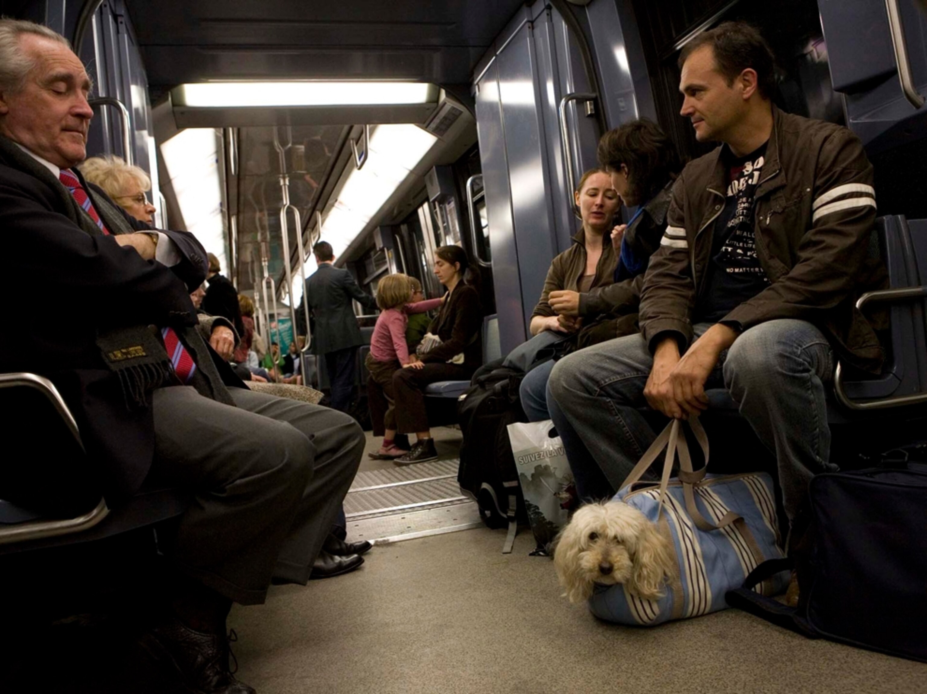 A little dog rides the Paris metro in a duffel bag