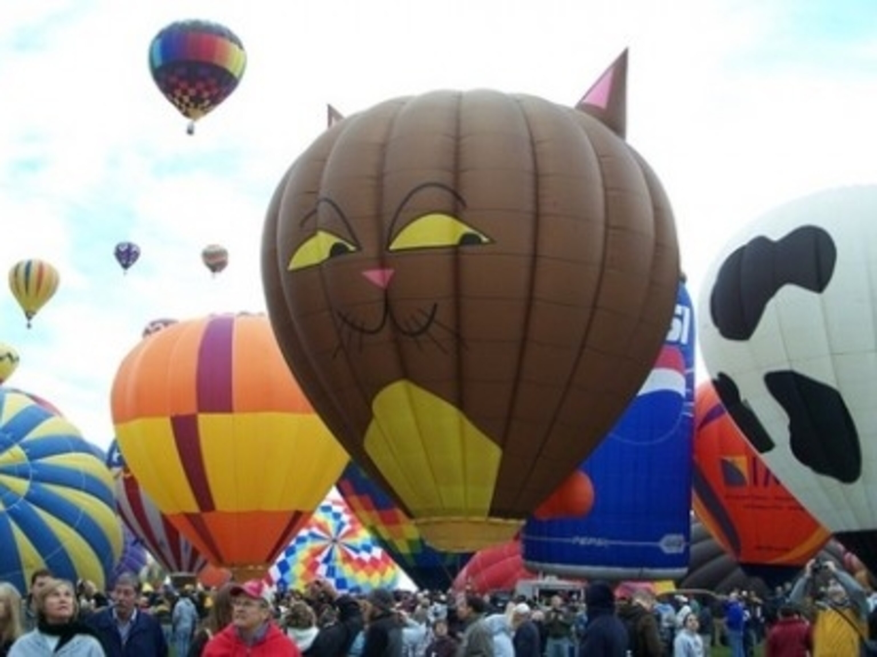 For Albuquerque's Balloon Fiesta, More Than 500 Hot Air Balloons Fill the  Sky