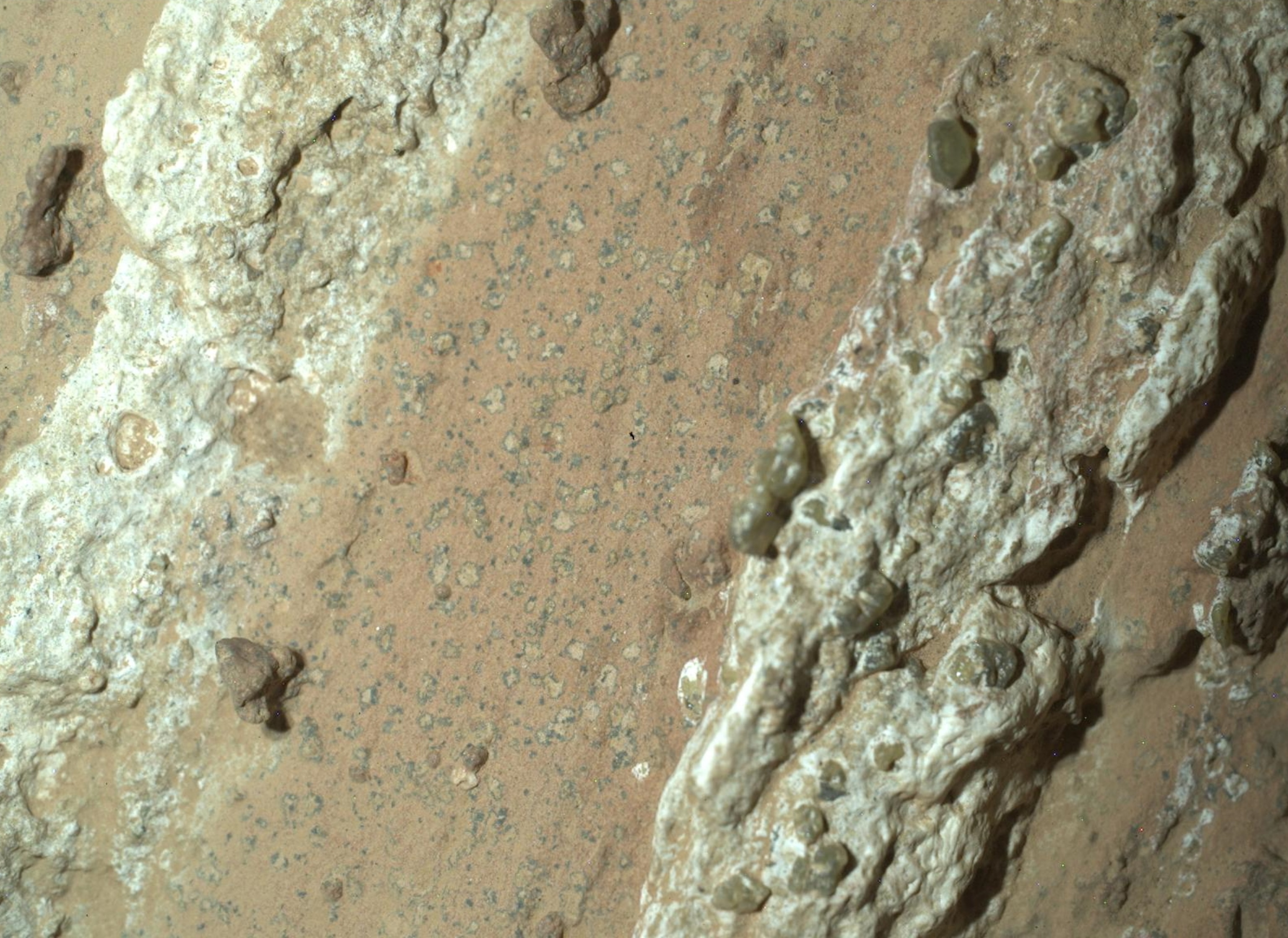 Close-up of a textured rocky surface from Mars, featuring light beige and cream tones in a "leopard spot" pattern
