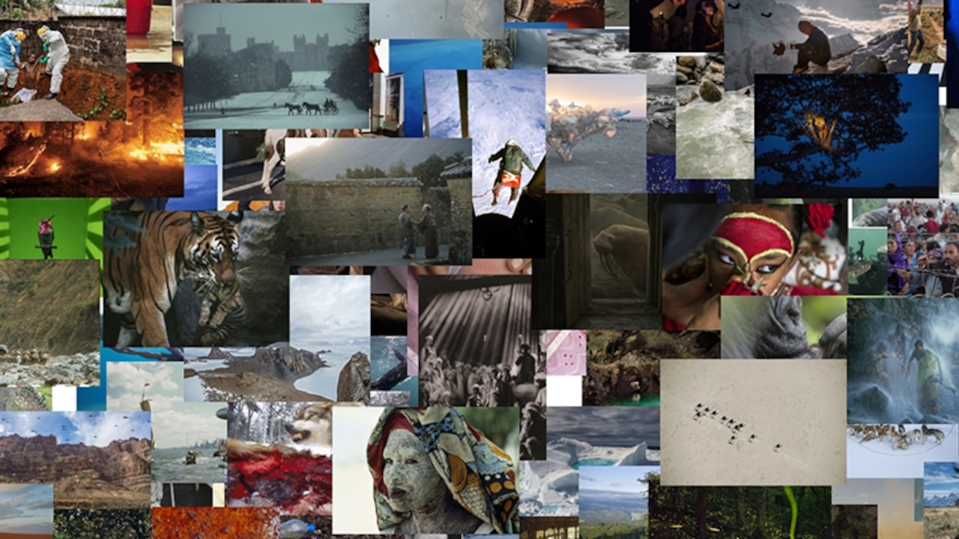 Are you better than AI at guessing what makes a photo memorable?